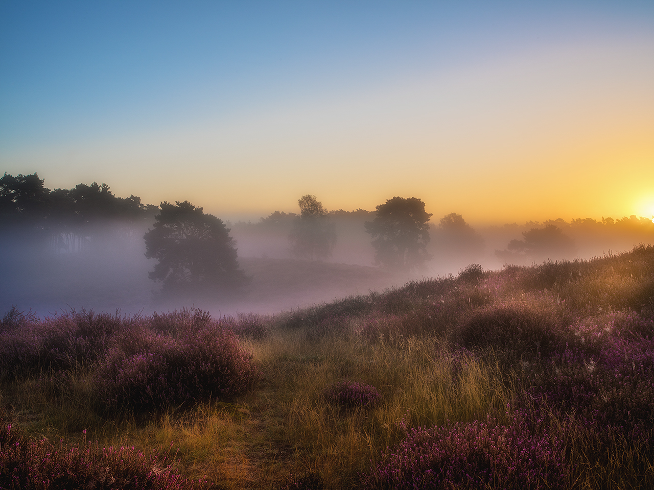 Herbstmorgen