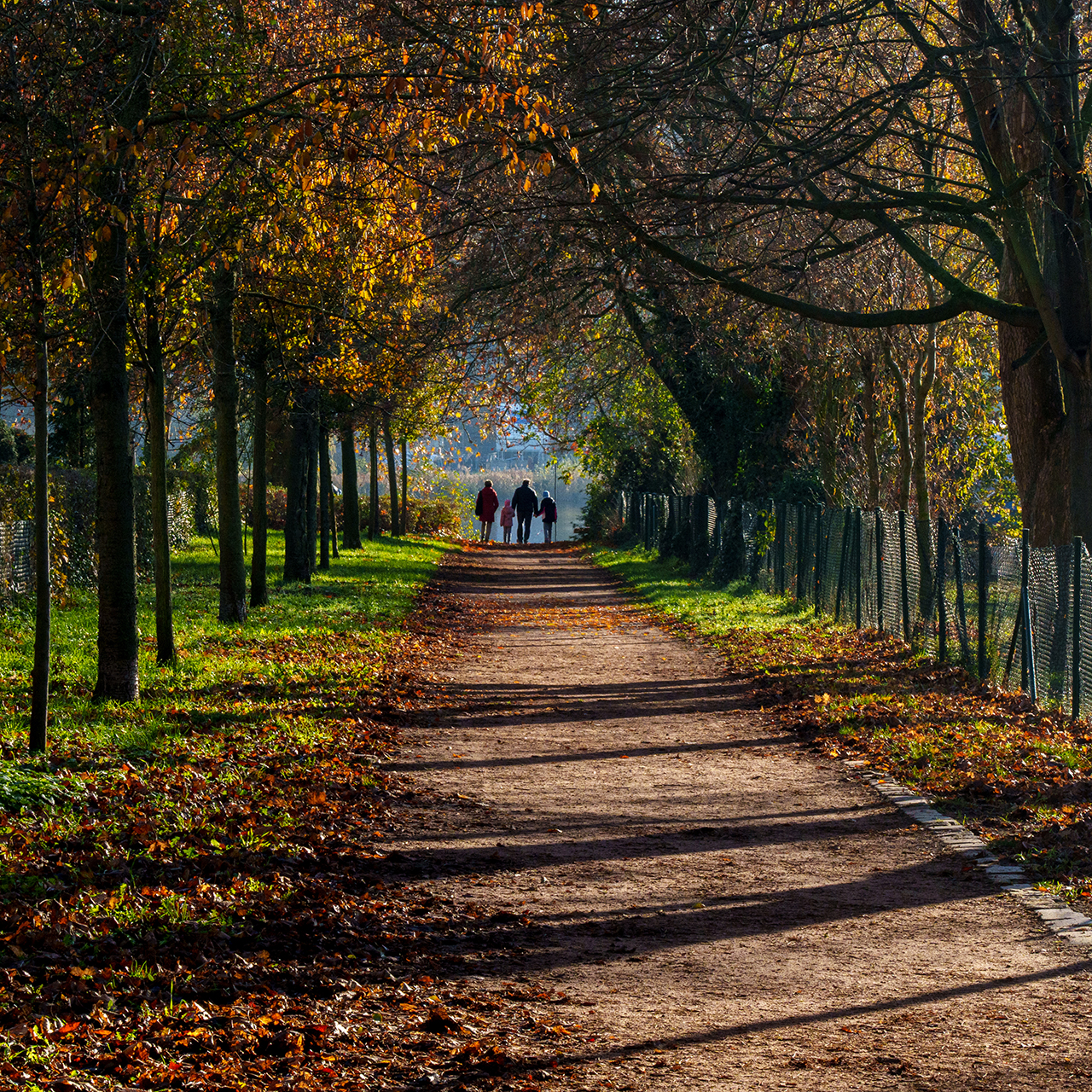 Herbstspaziergang II