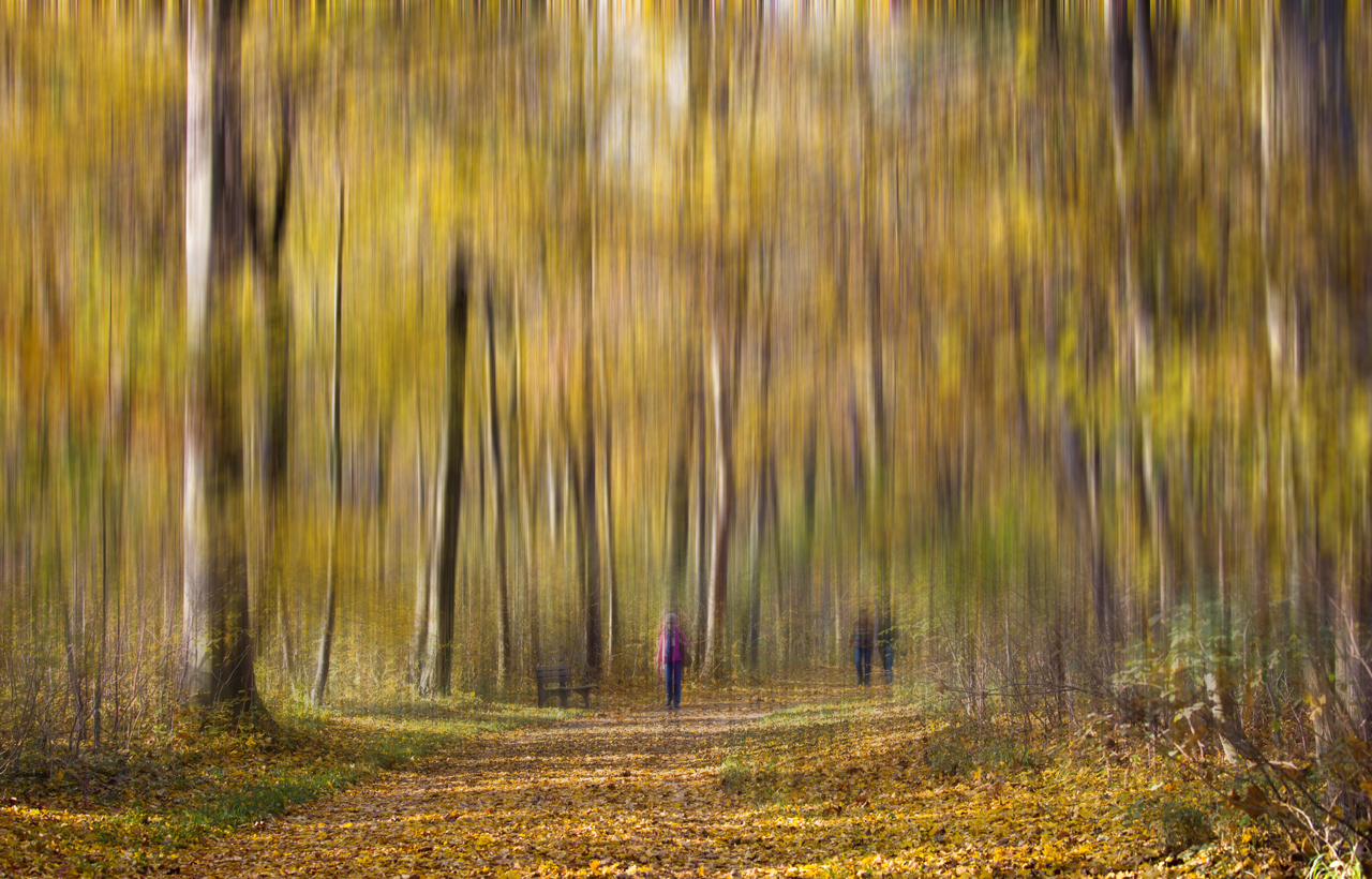 Herbstspaziergang