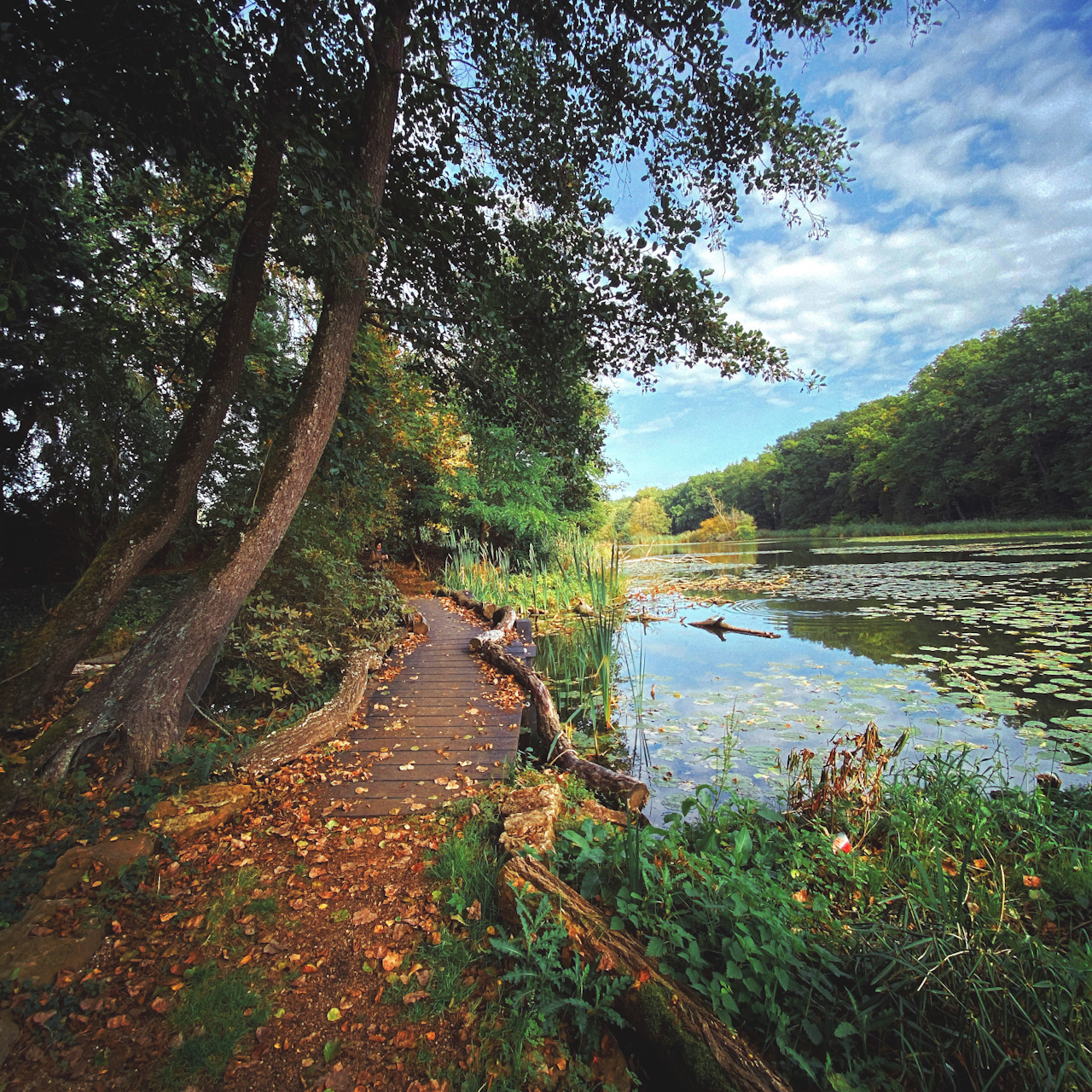 Herbstspaziergang