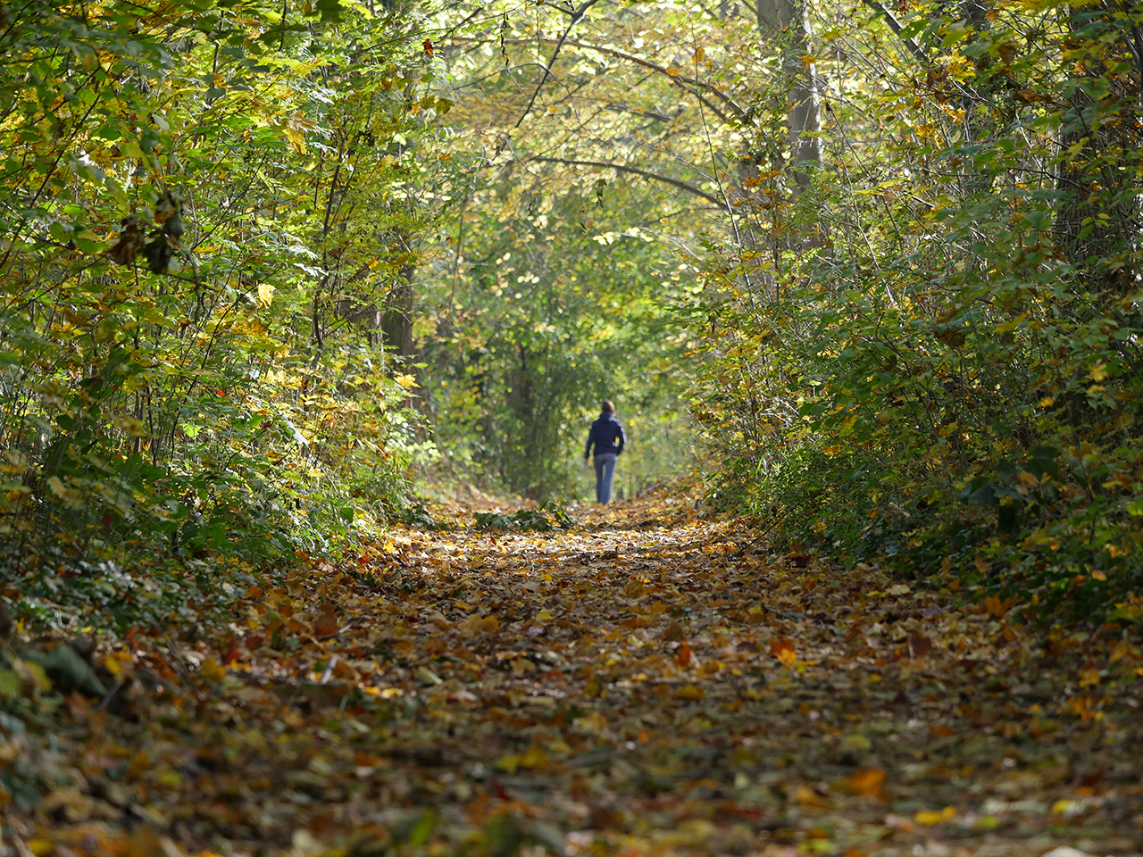 Herbstspaziergang