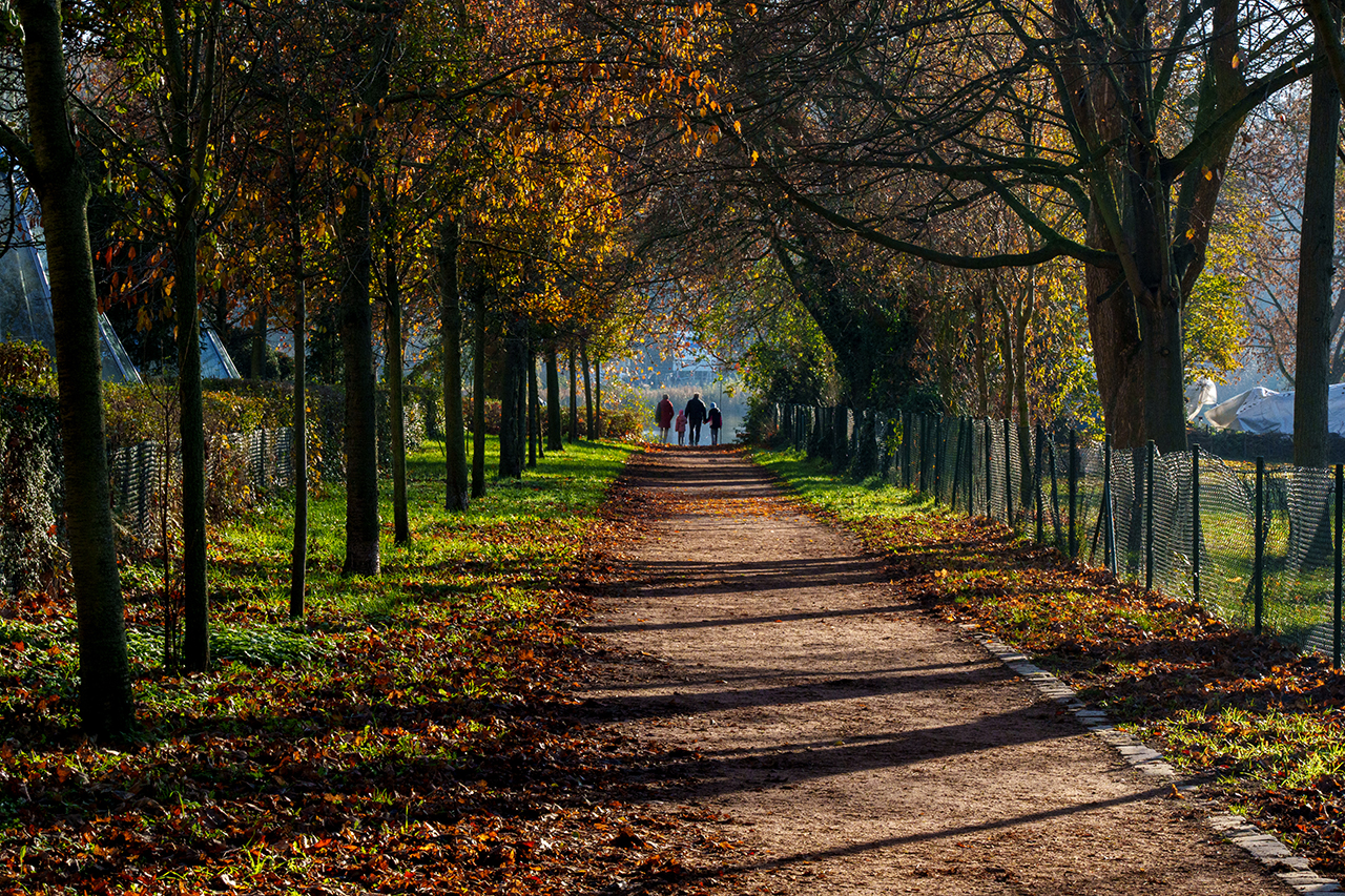 Herbstspaziergang