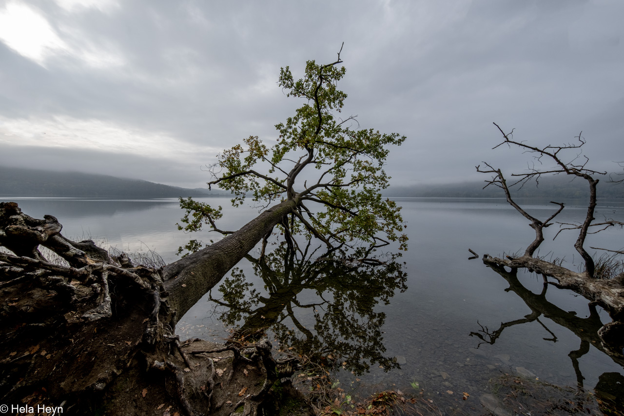 Herbststimmung