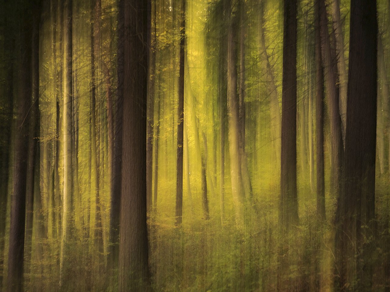 Herbststimmung