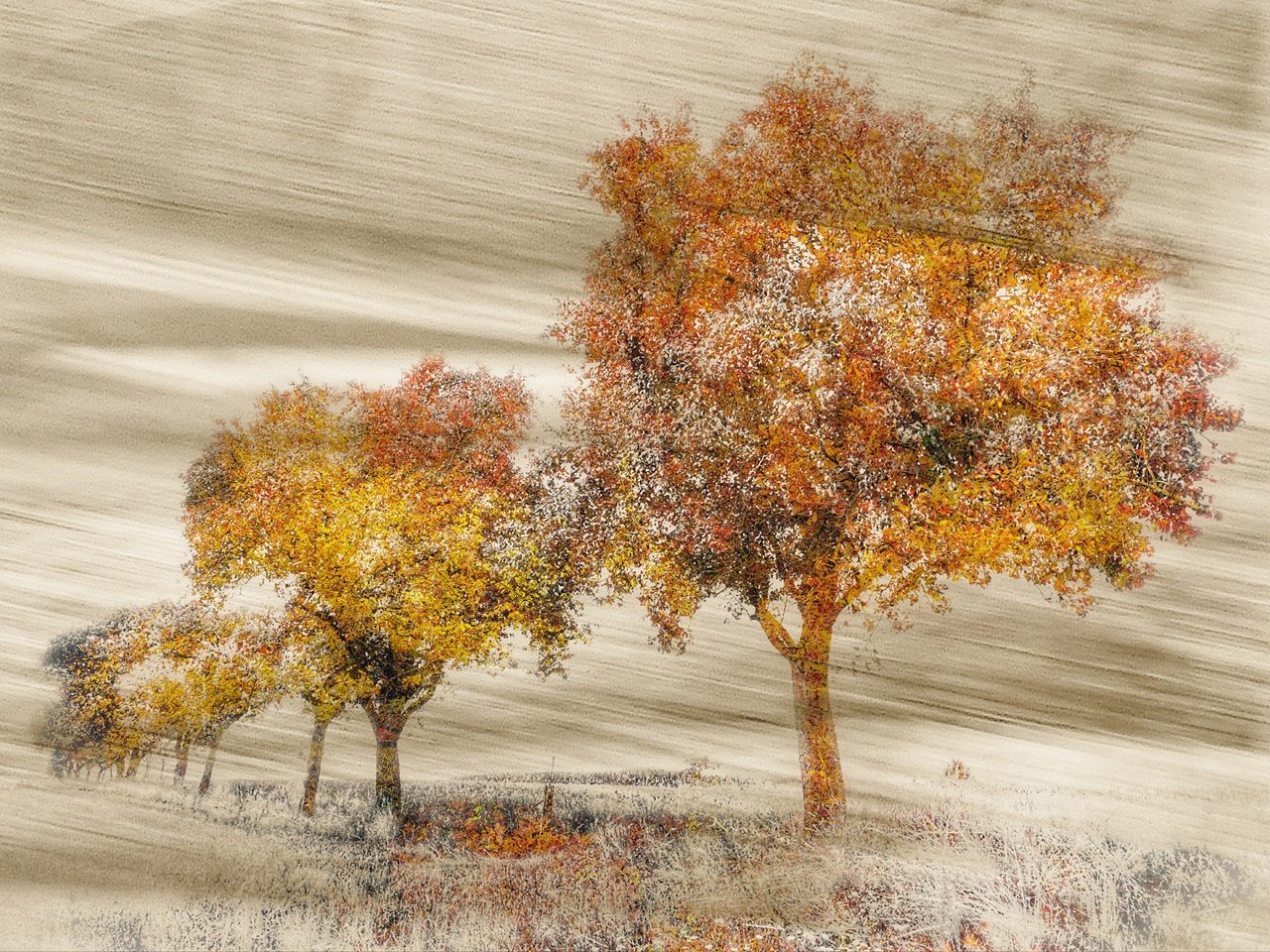 Herbstwind