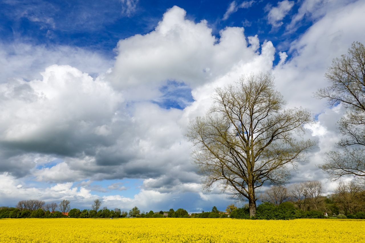 herrliches Fotowetter