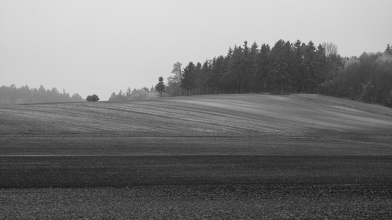 Heute angezuckert und nebelig.