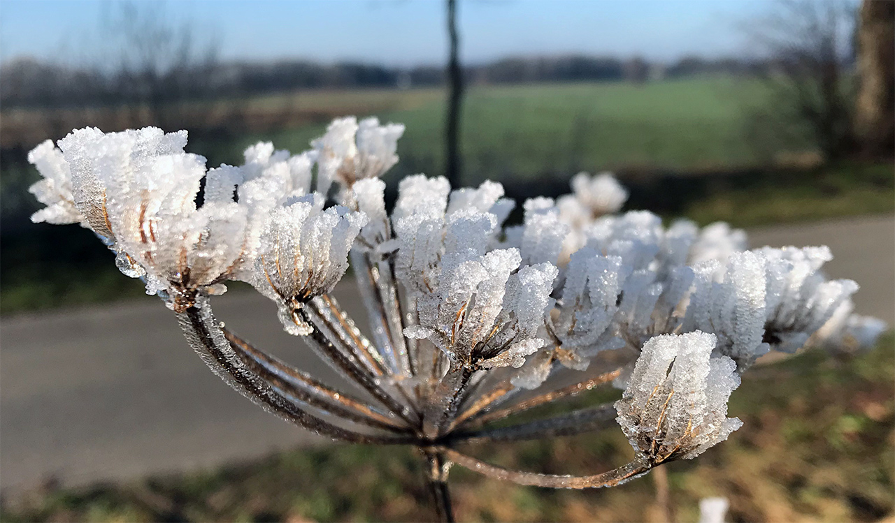 Heute strahlender Sonnenschein