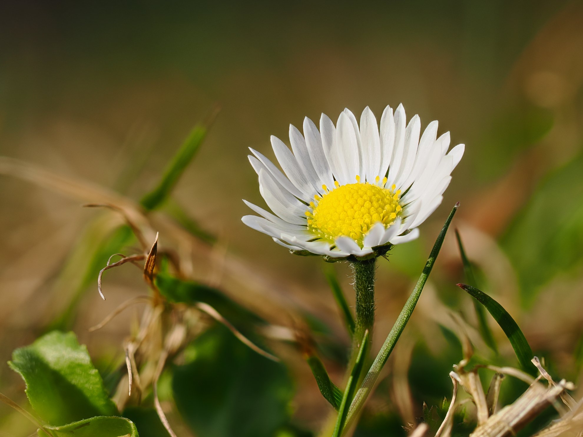 Hier bin ich wieder!