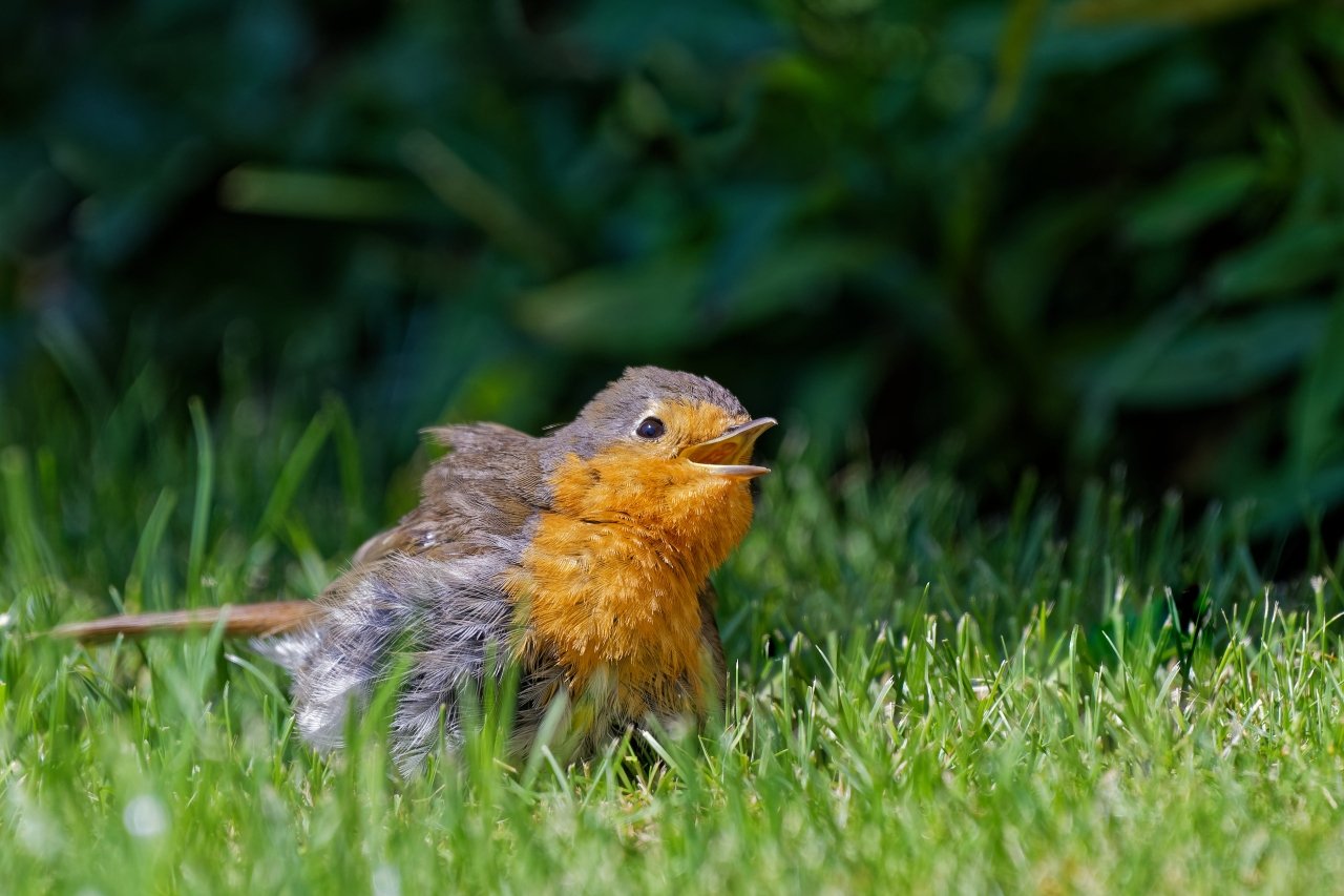 Hier bin ich.......