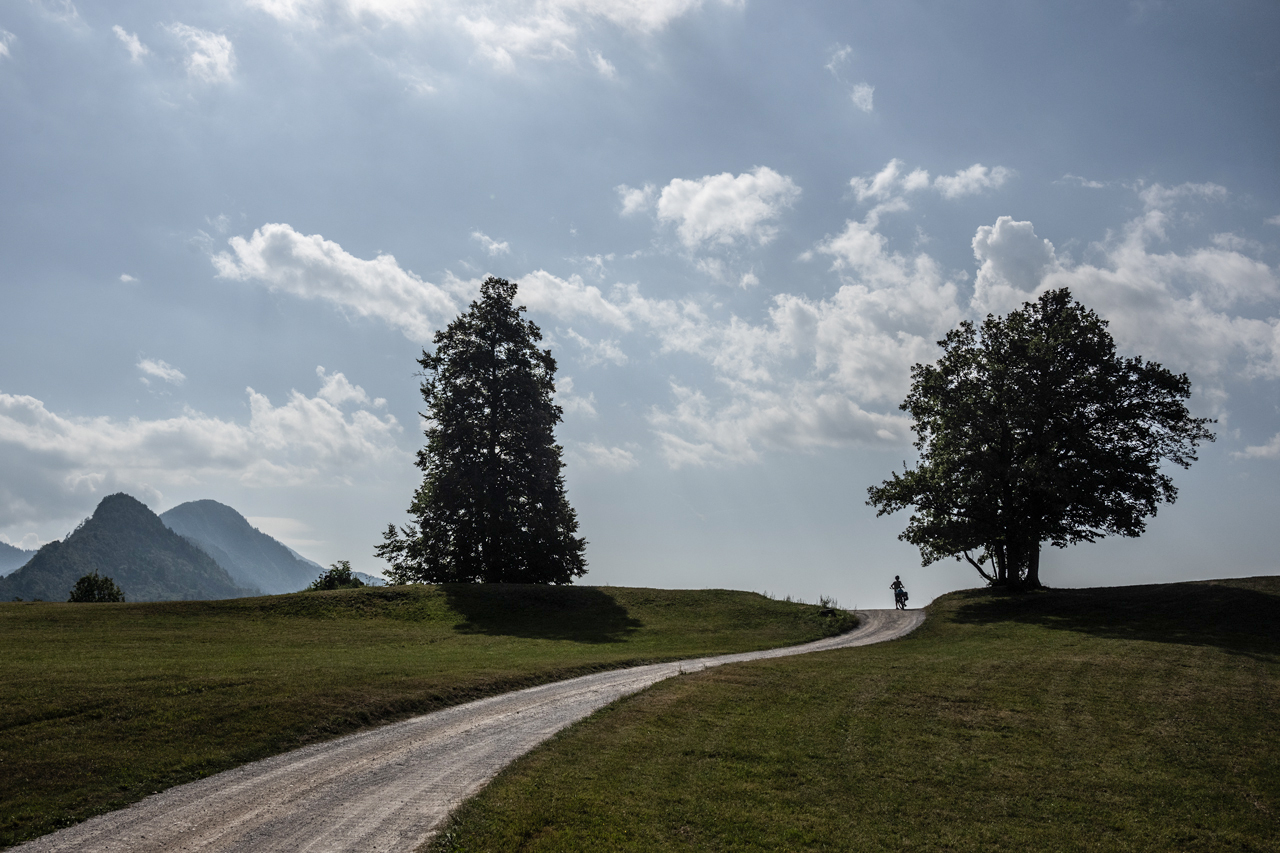 Hinein ins Vergnügen