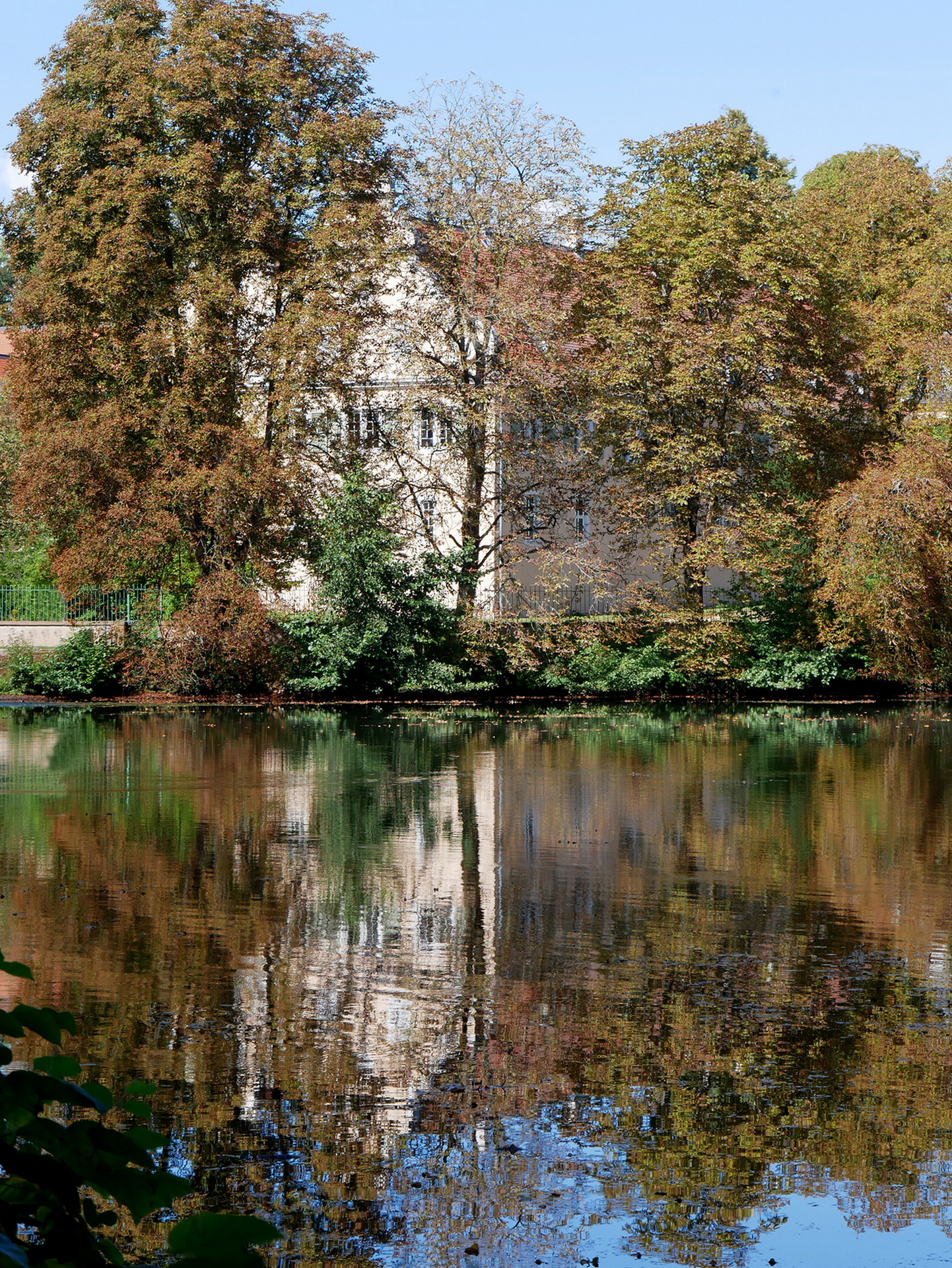 Hinter Bäumen