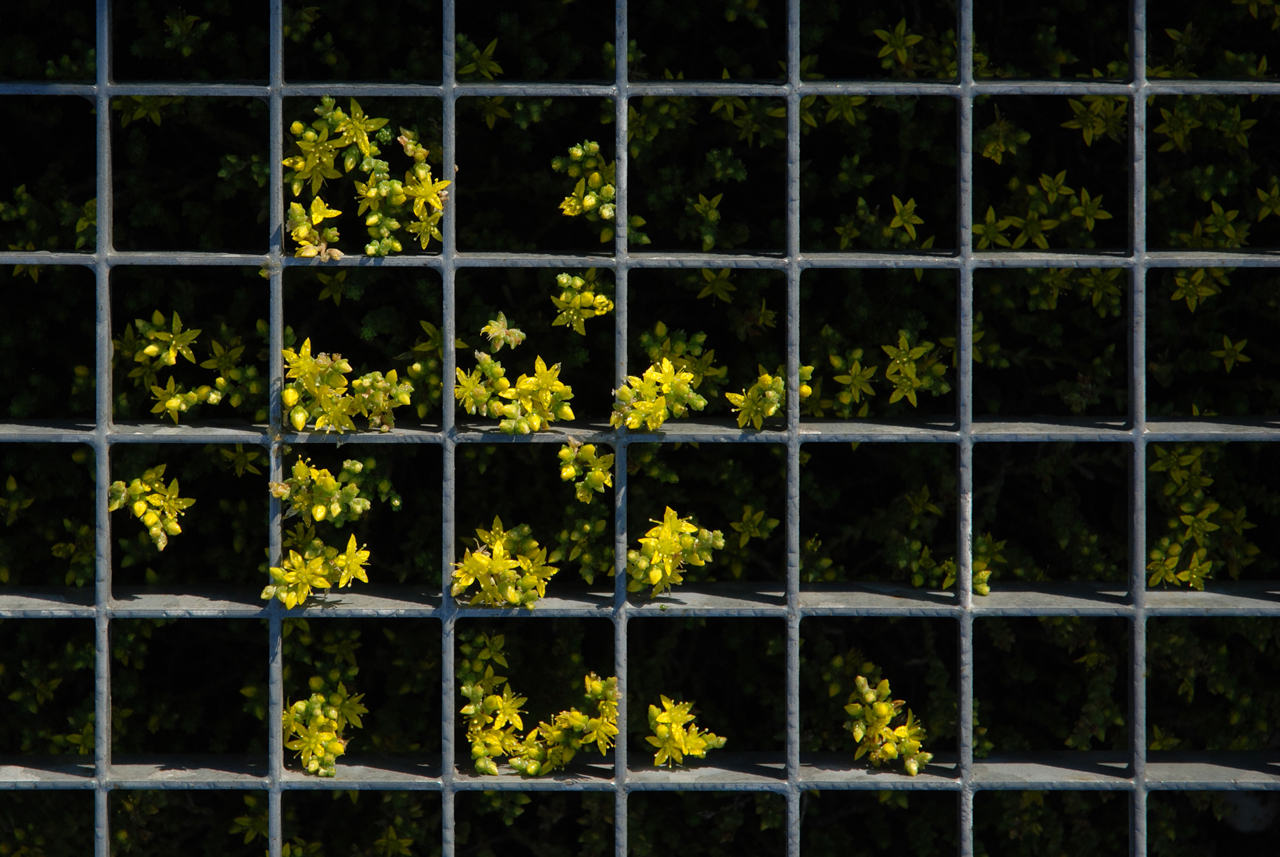 Hinter Gittern