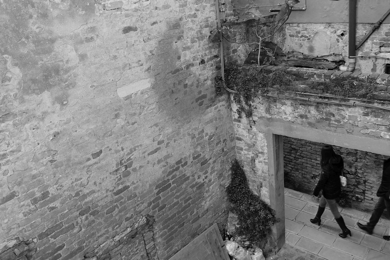 Hinterhof dpixx.de Forum