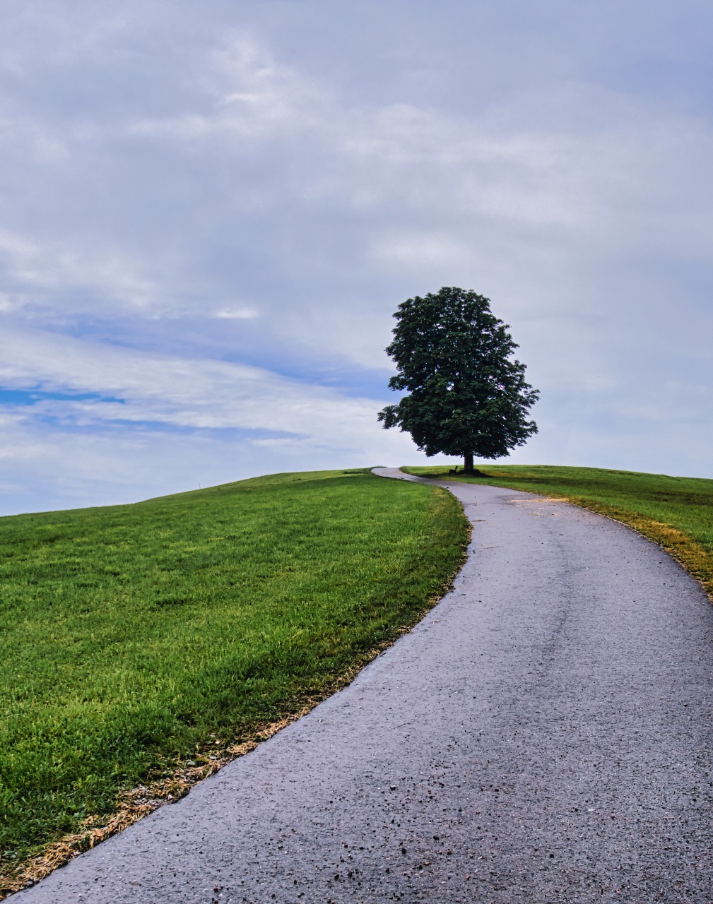 Hinterm Horizont gehts weiter...