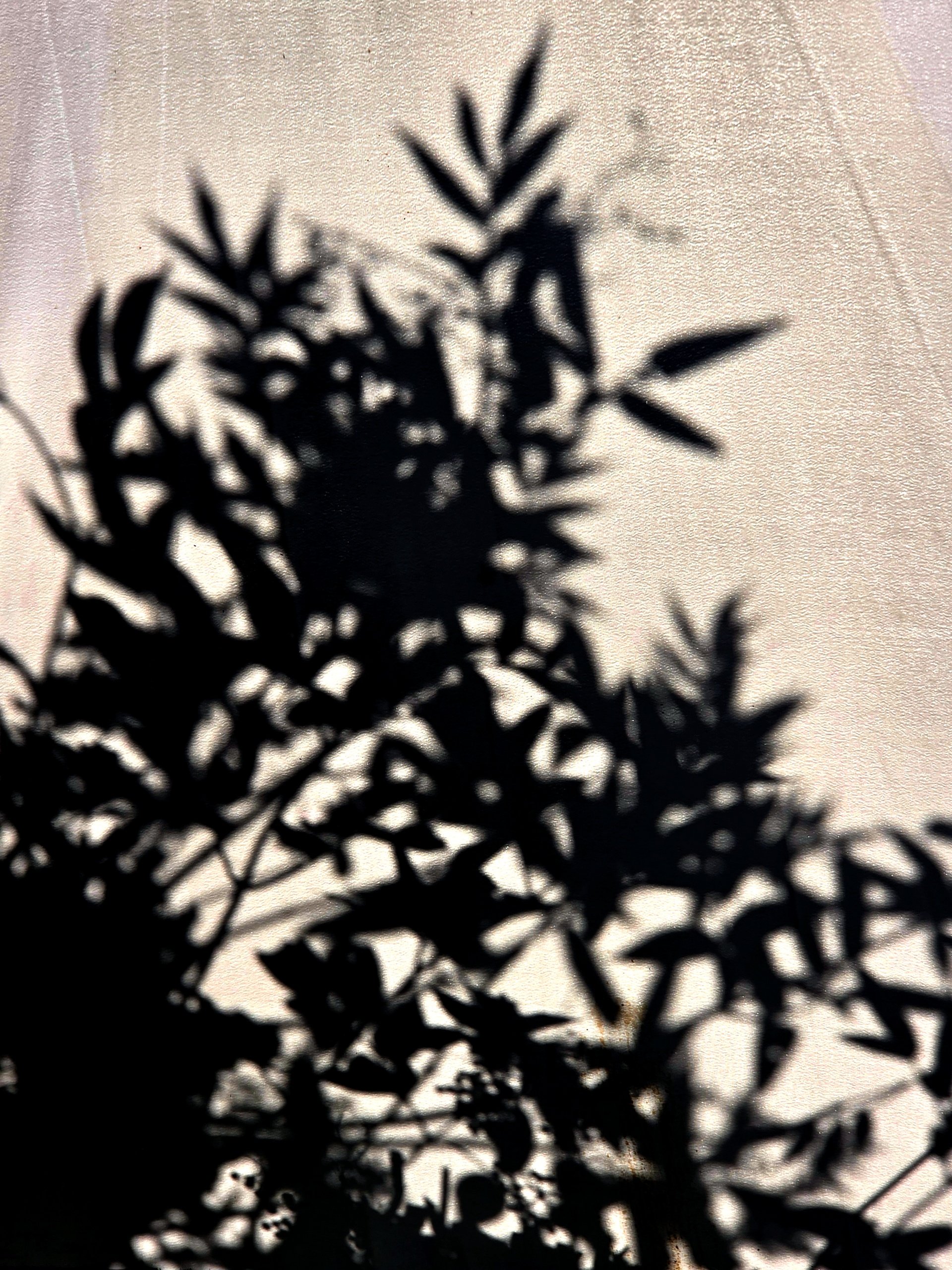 Hinterm Sonnenschirm
