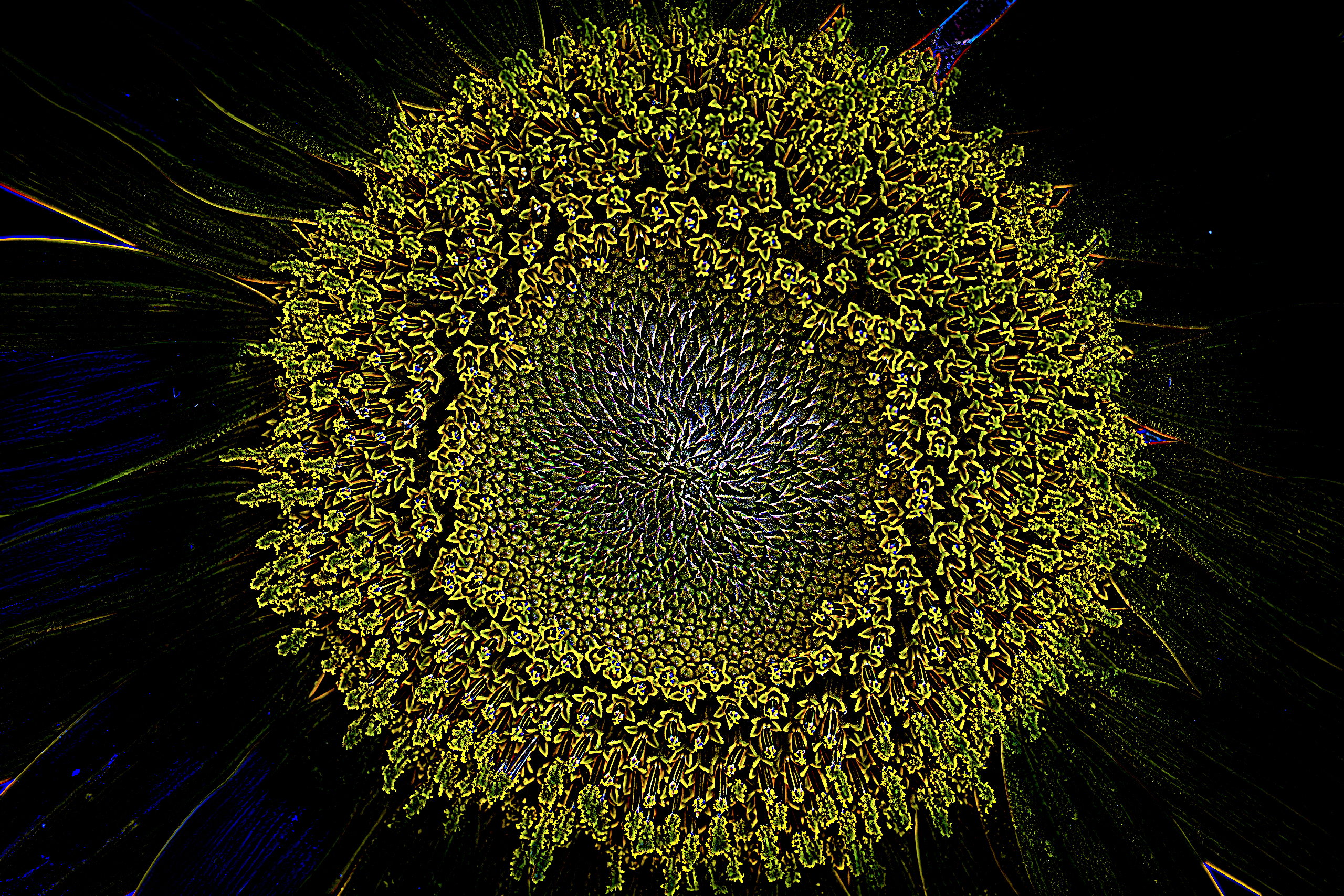 hk_250714_neues_aus_der_blumenvase_#2X.jpg