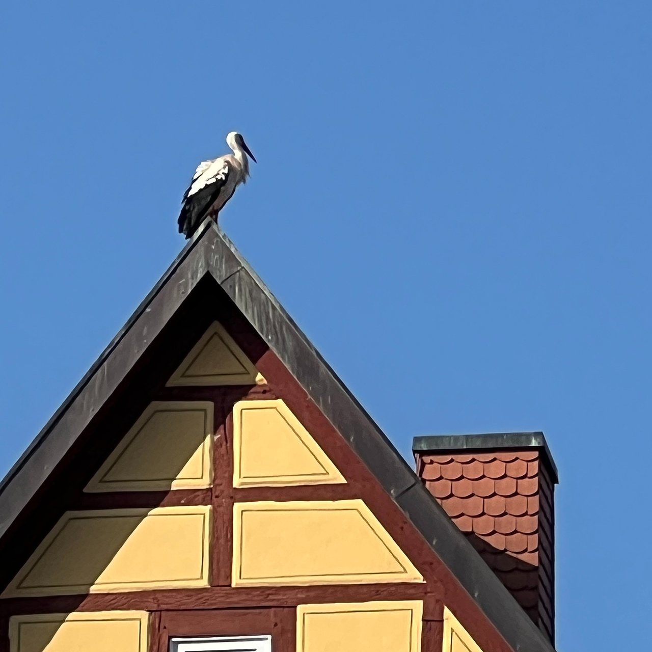 hk_260227_sie sind_da_1.jpeg