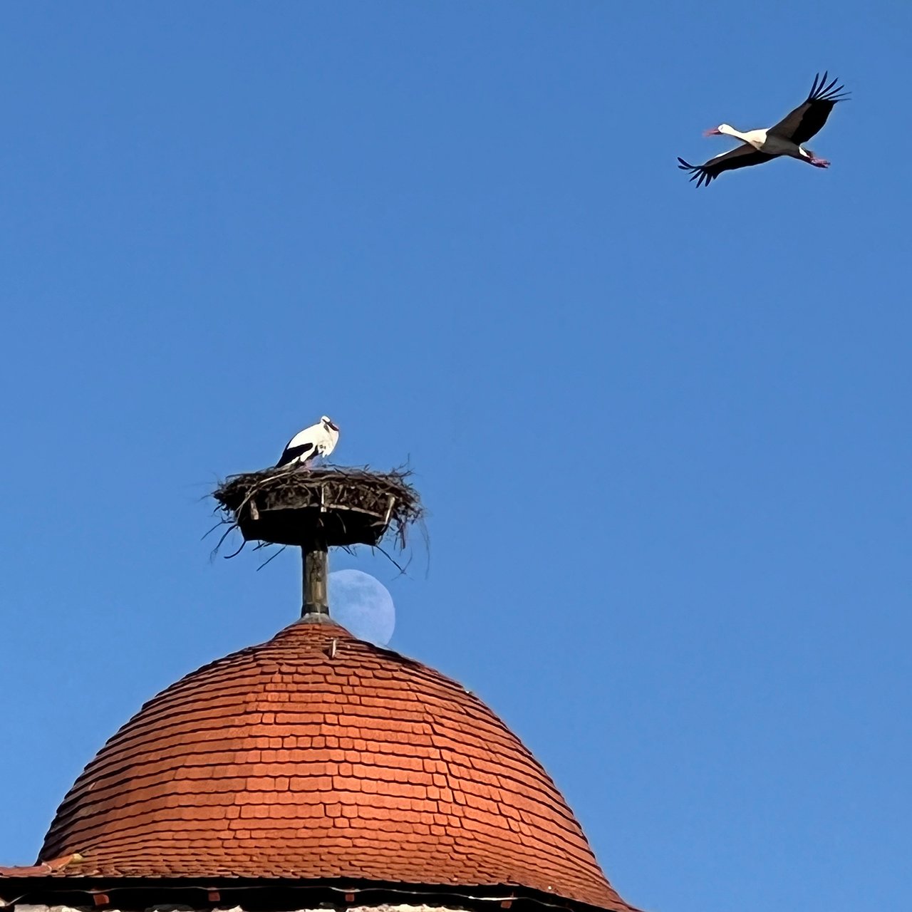 hk_260227_sie sind_da_2.jpeg