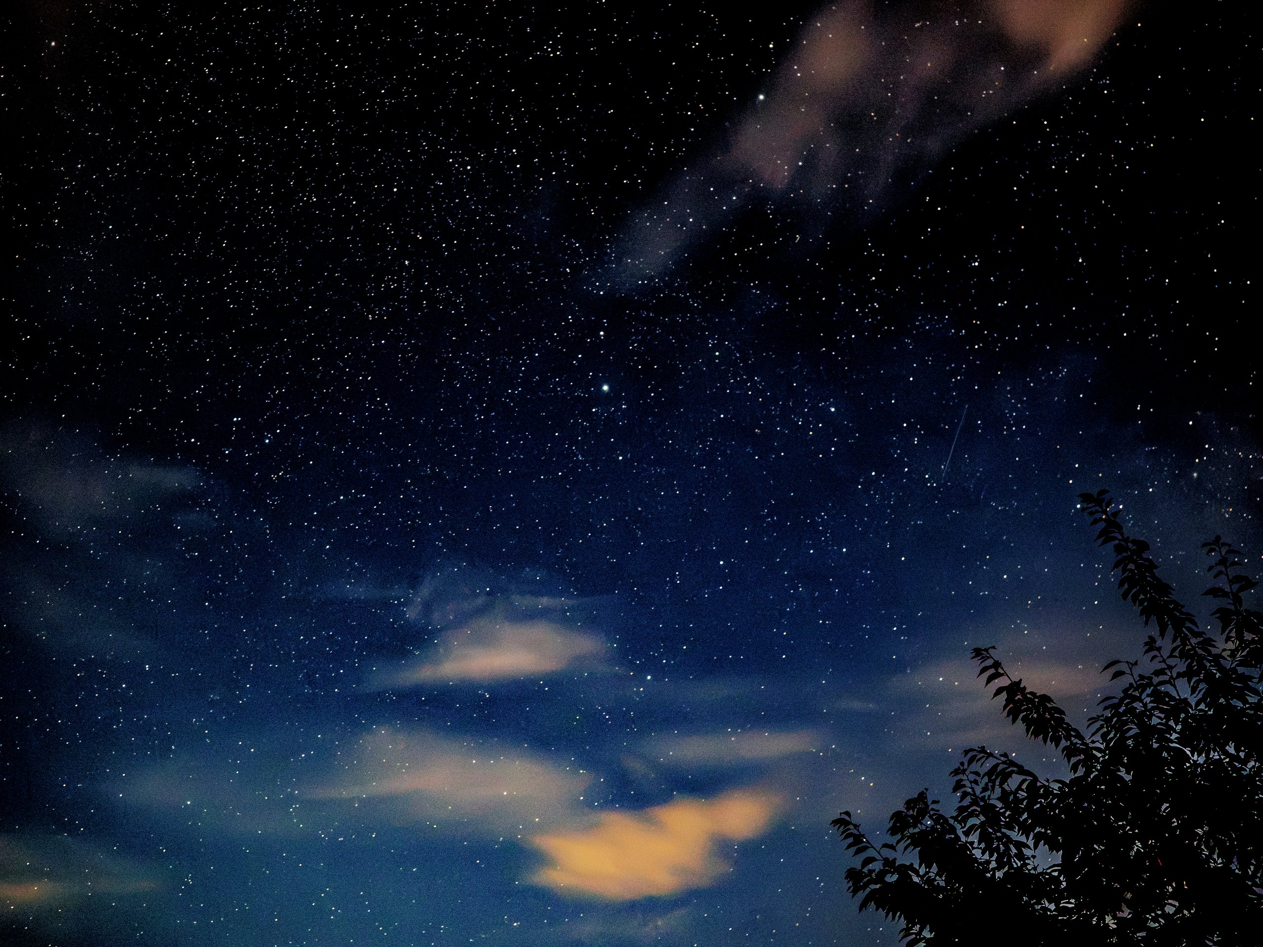 hk_260821_sterne_wolken_baum.JPG