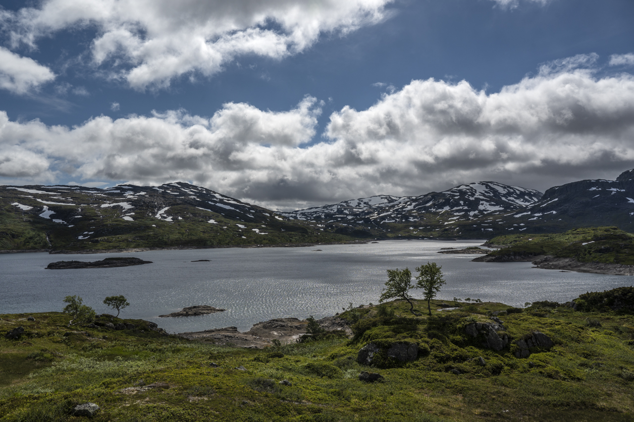 Hochland Norwegen.jpg