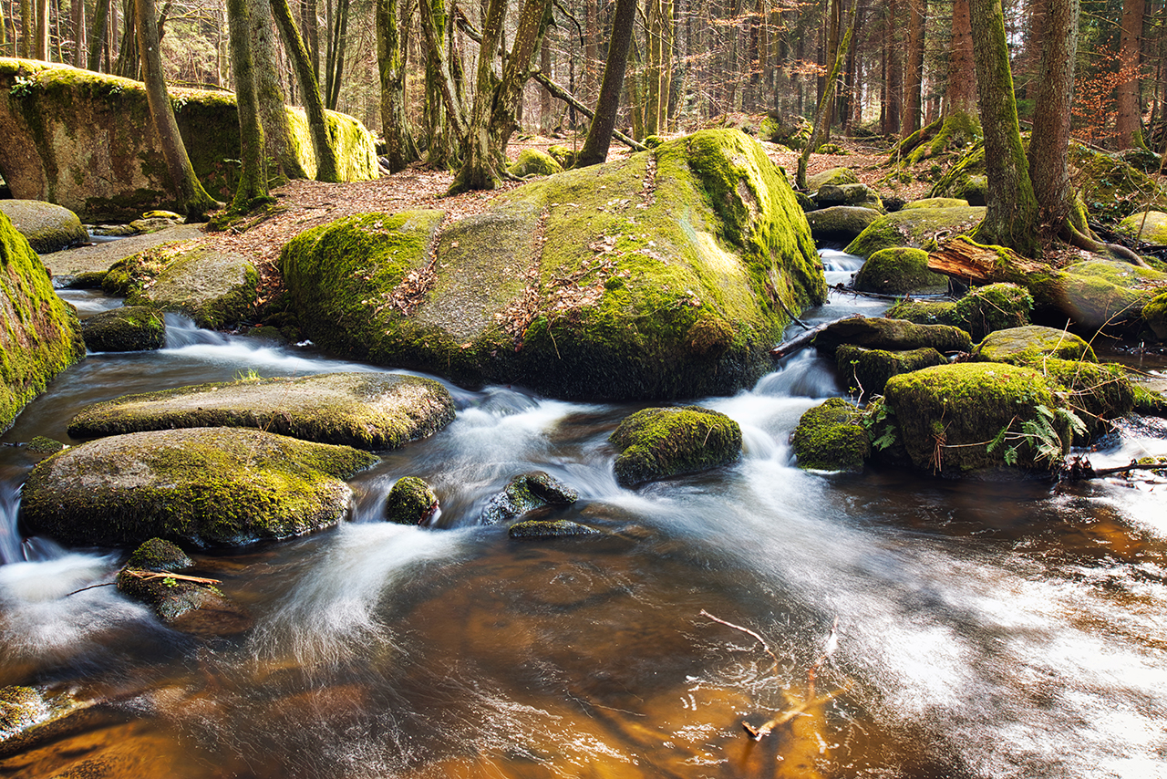 Höllbach1.jpg