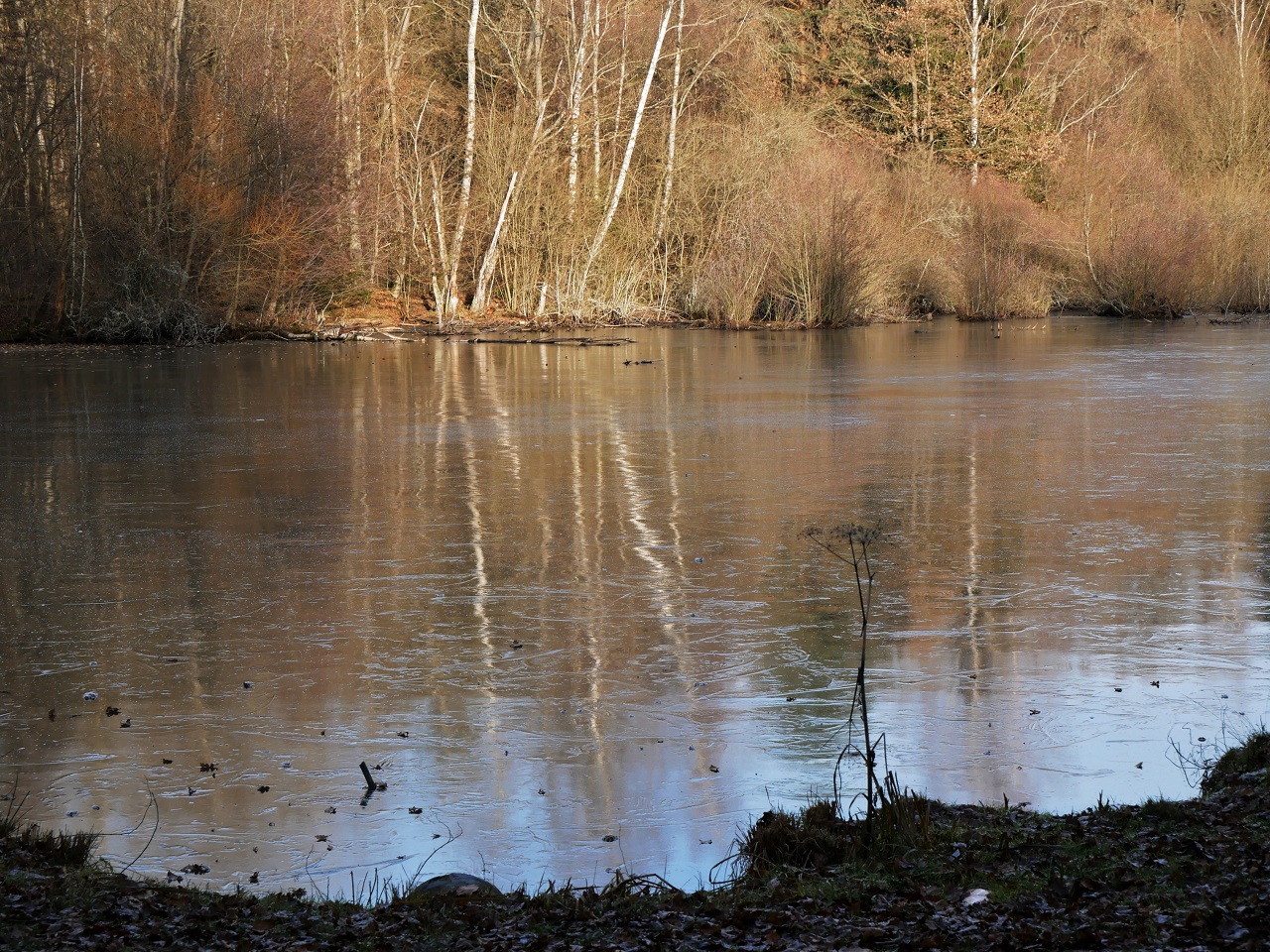 Hölzersee eisig 2