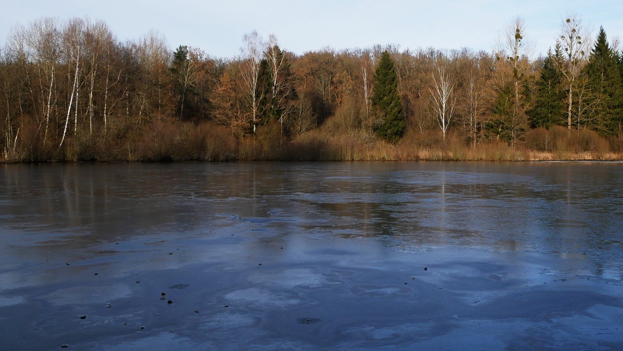 Hölzersee eisig