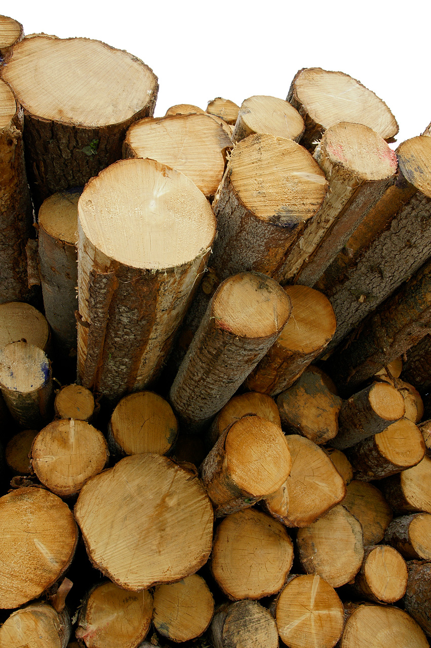 Holzstapel