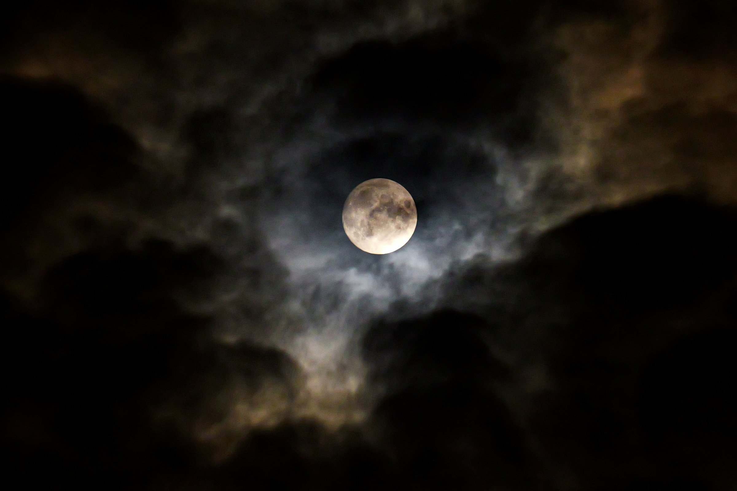 Howling to the moon.