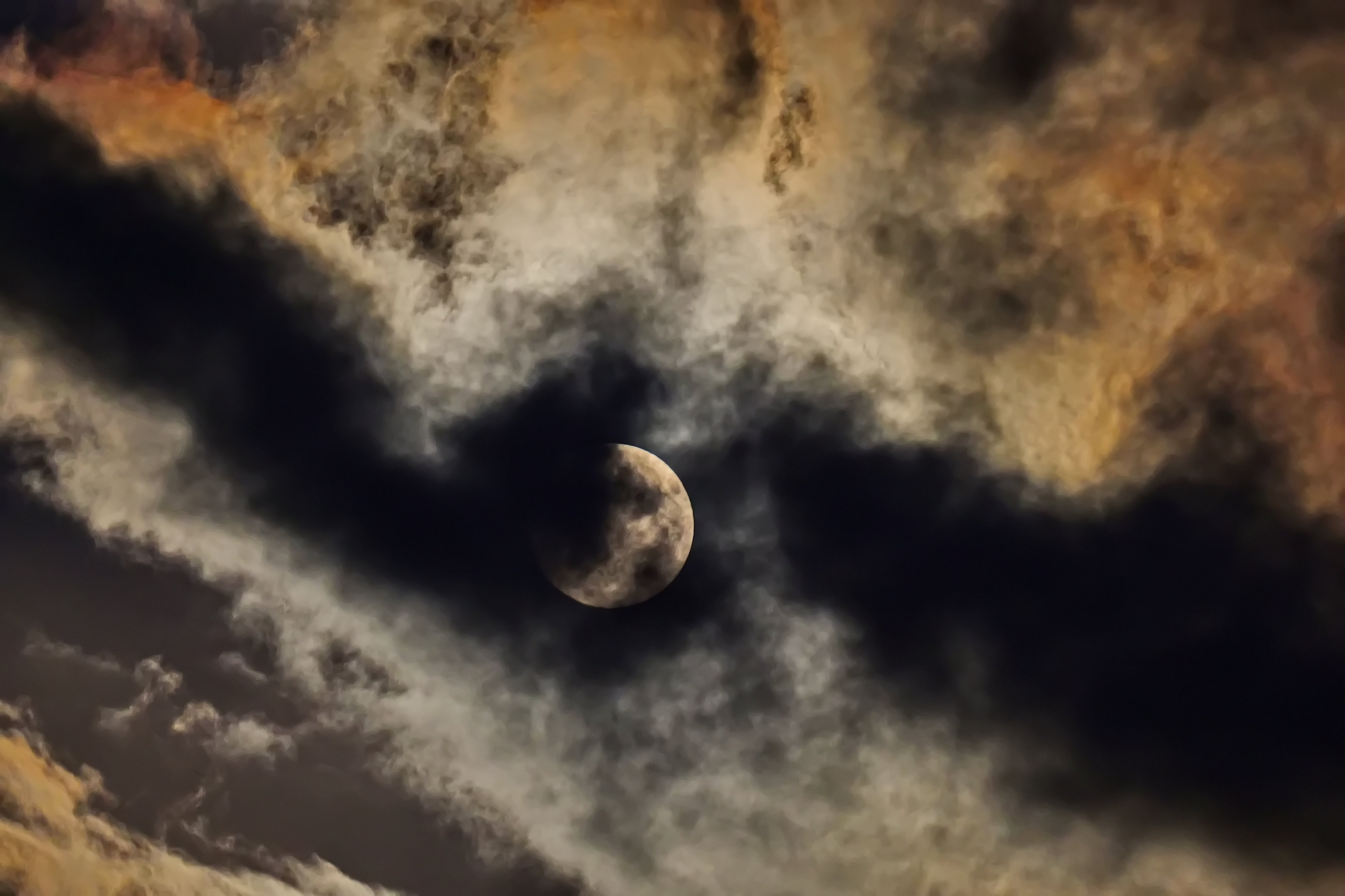 Howling to the moon.