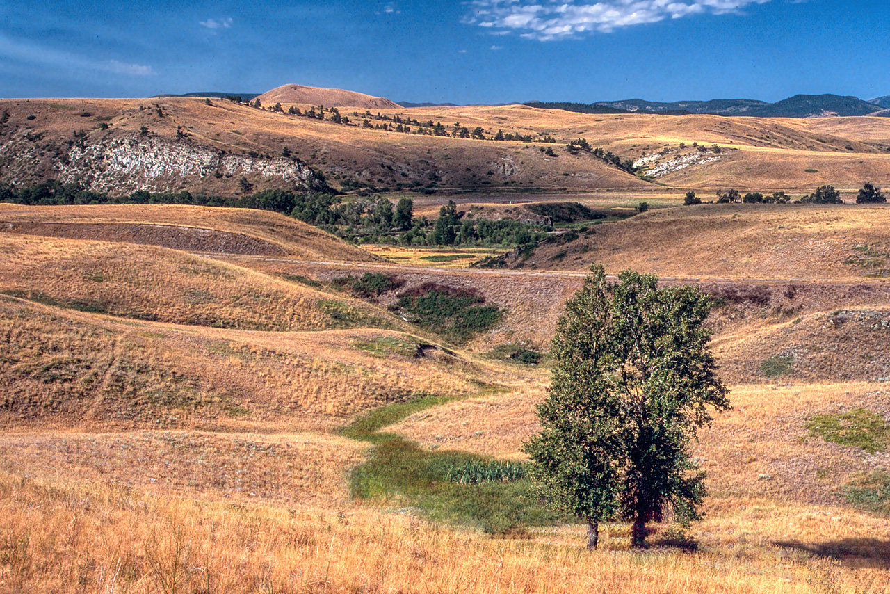 Hügelige Landschaft