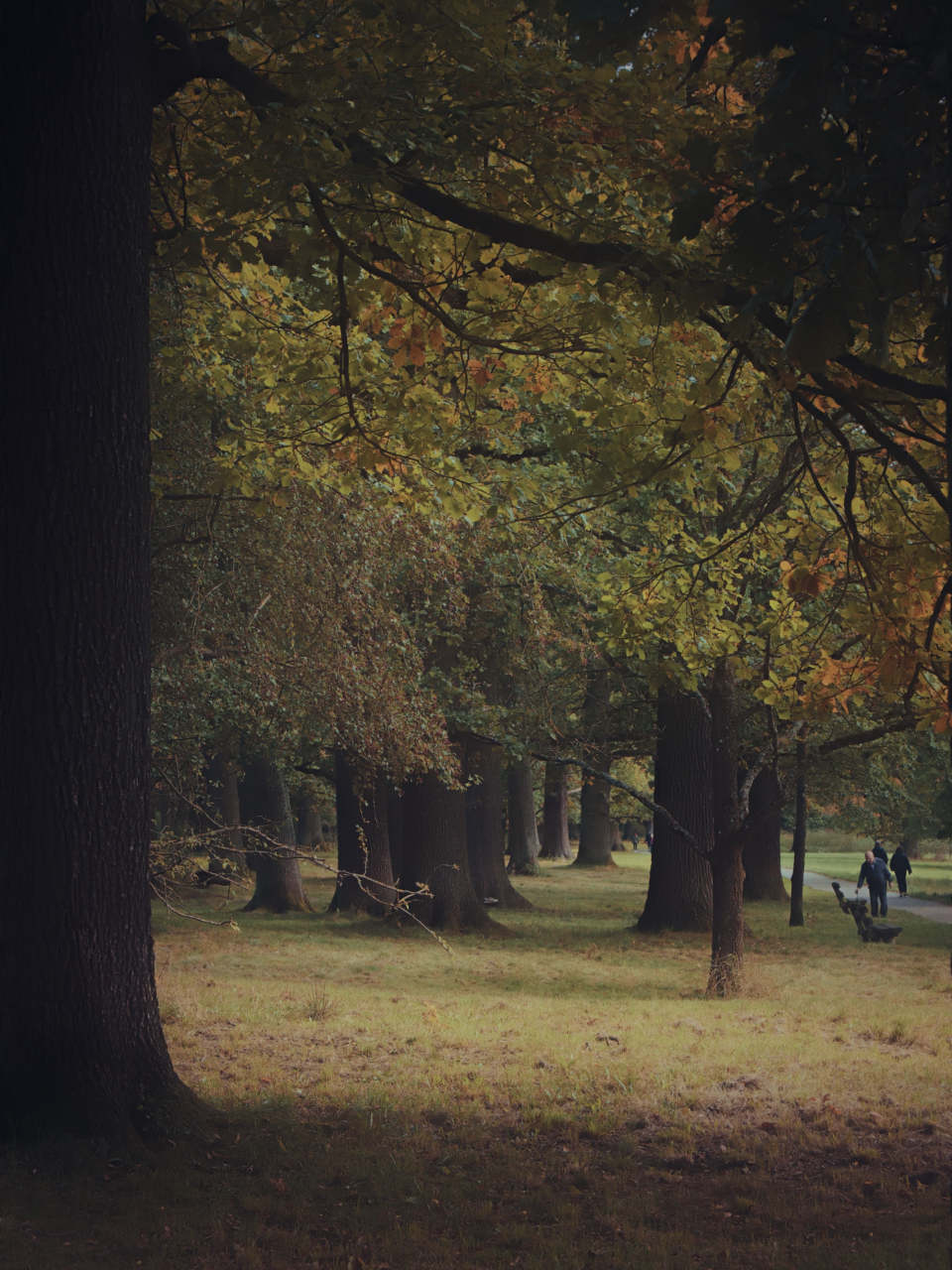 Huthewald