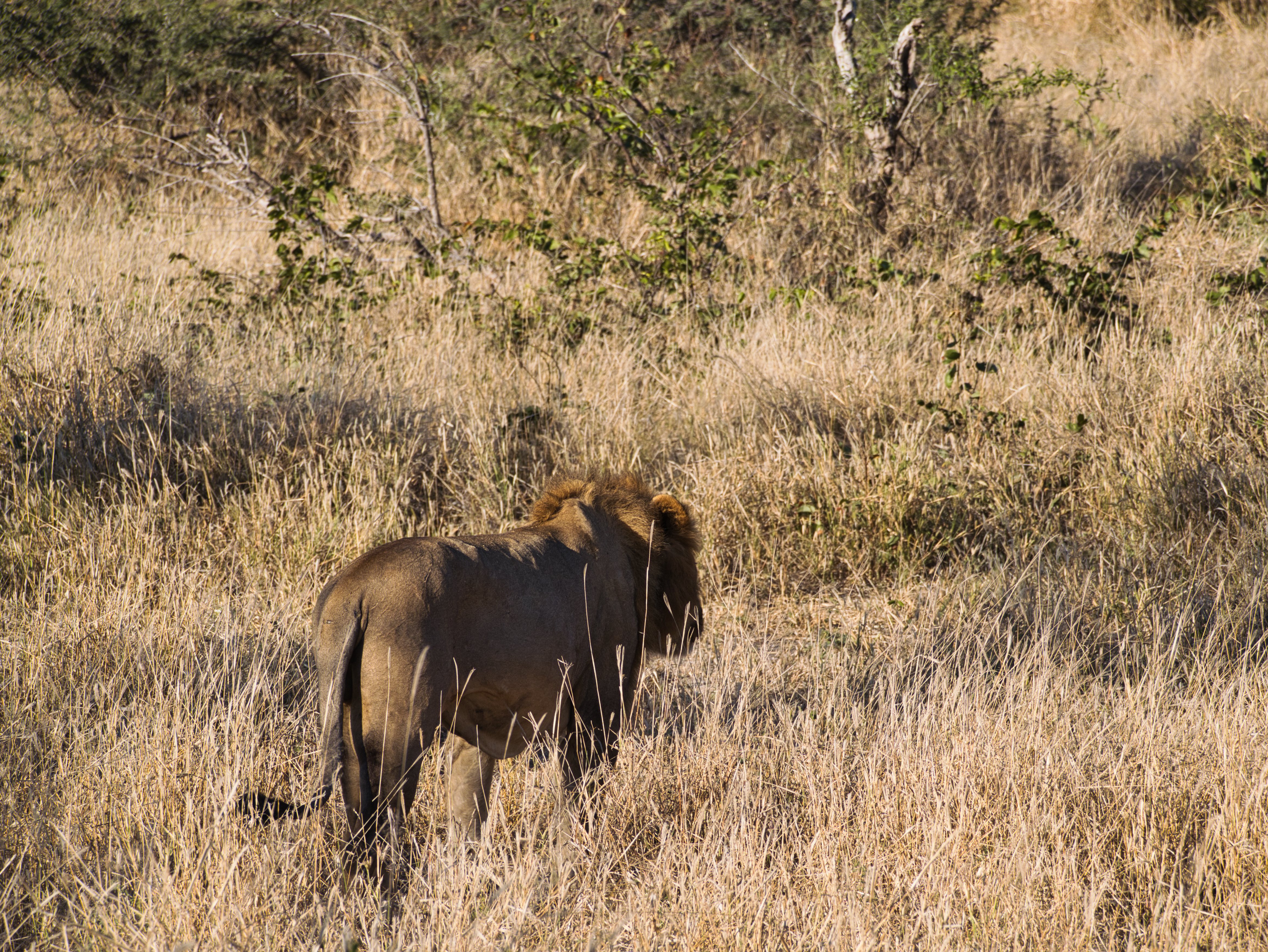 Ich bin dann mal weg..