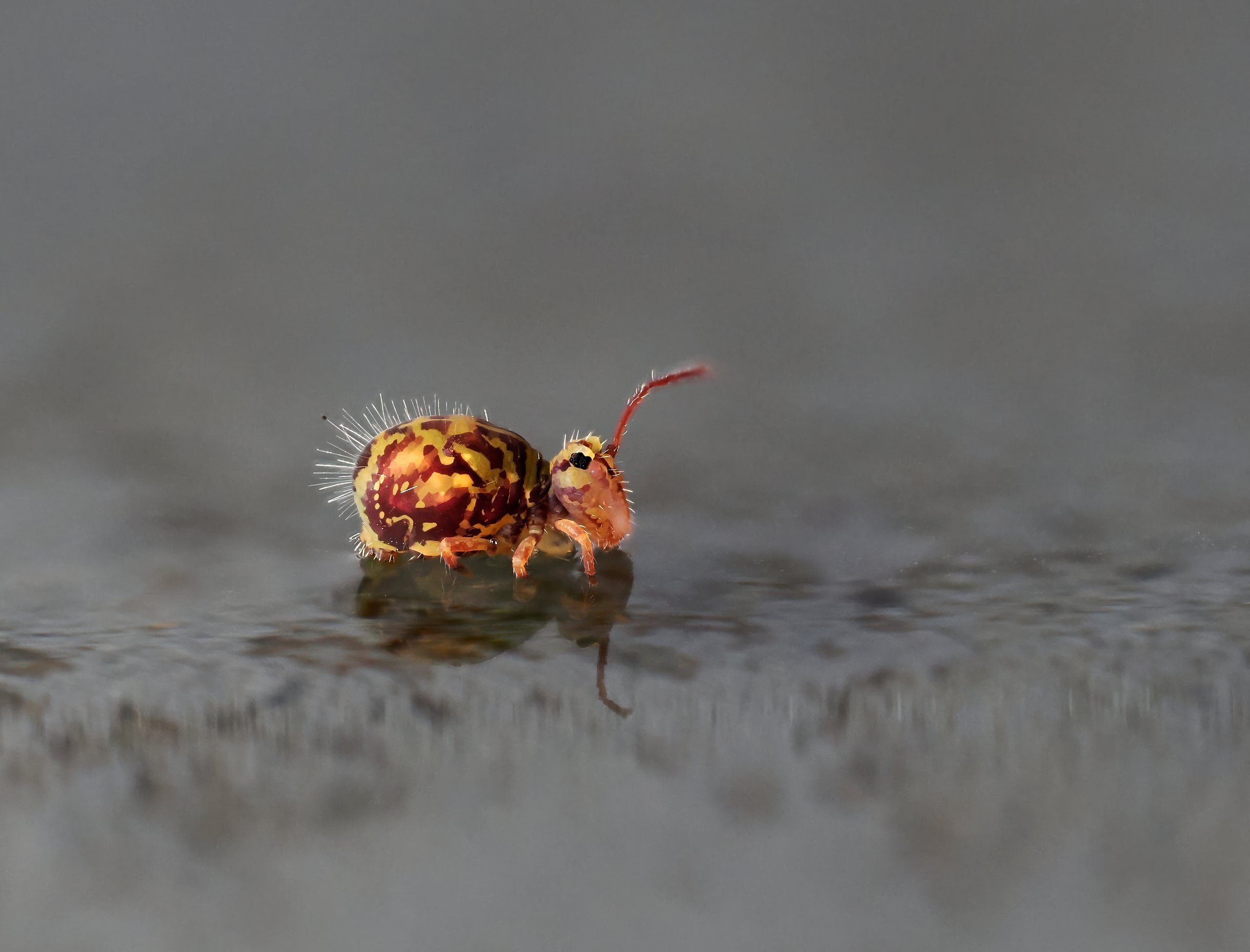 Ich brauche Gummistiefel....