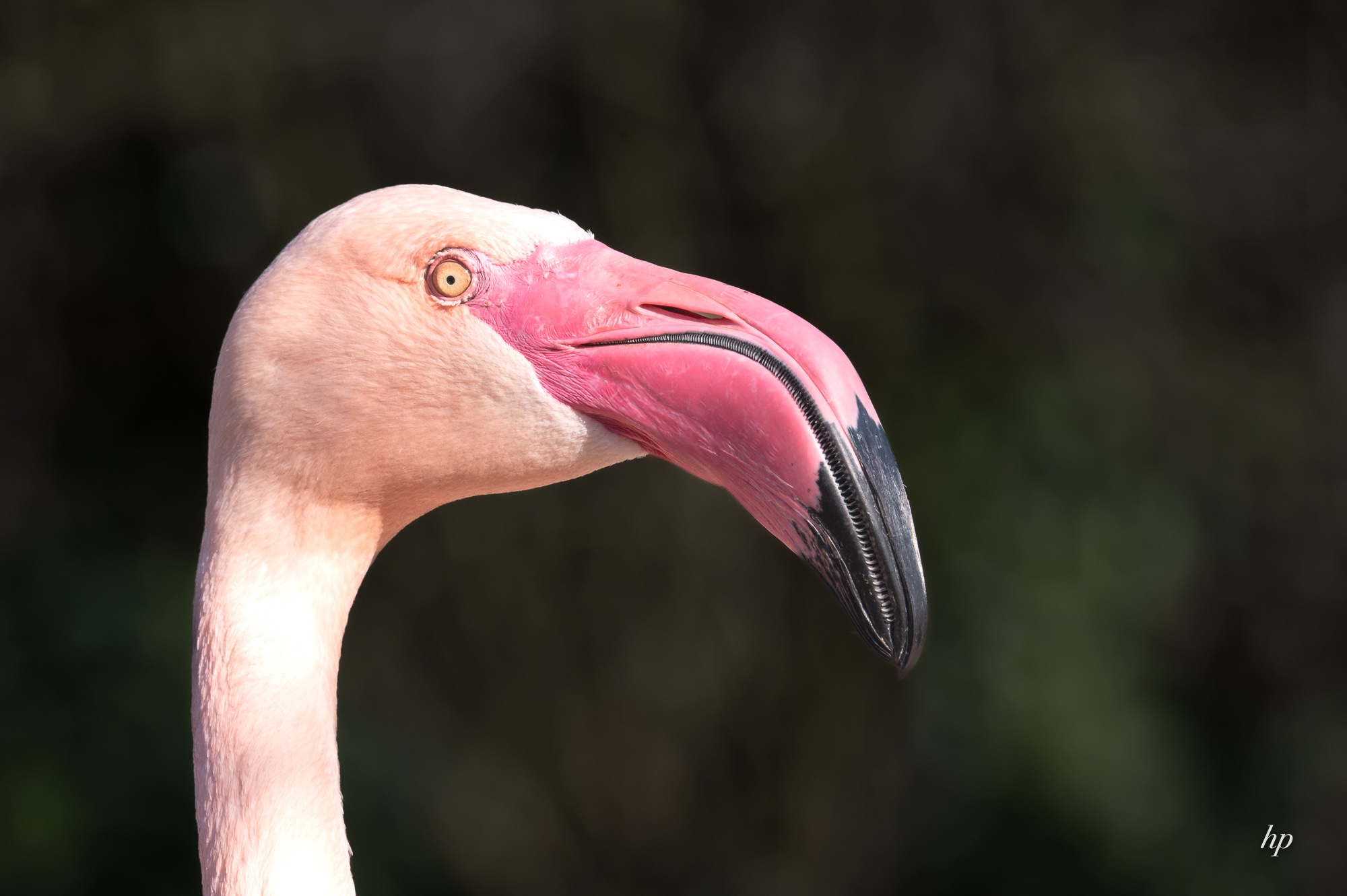Ich seh dich ganz genau!