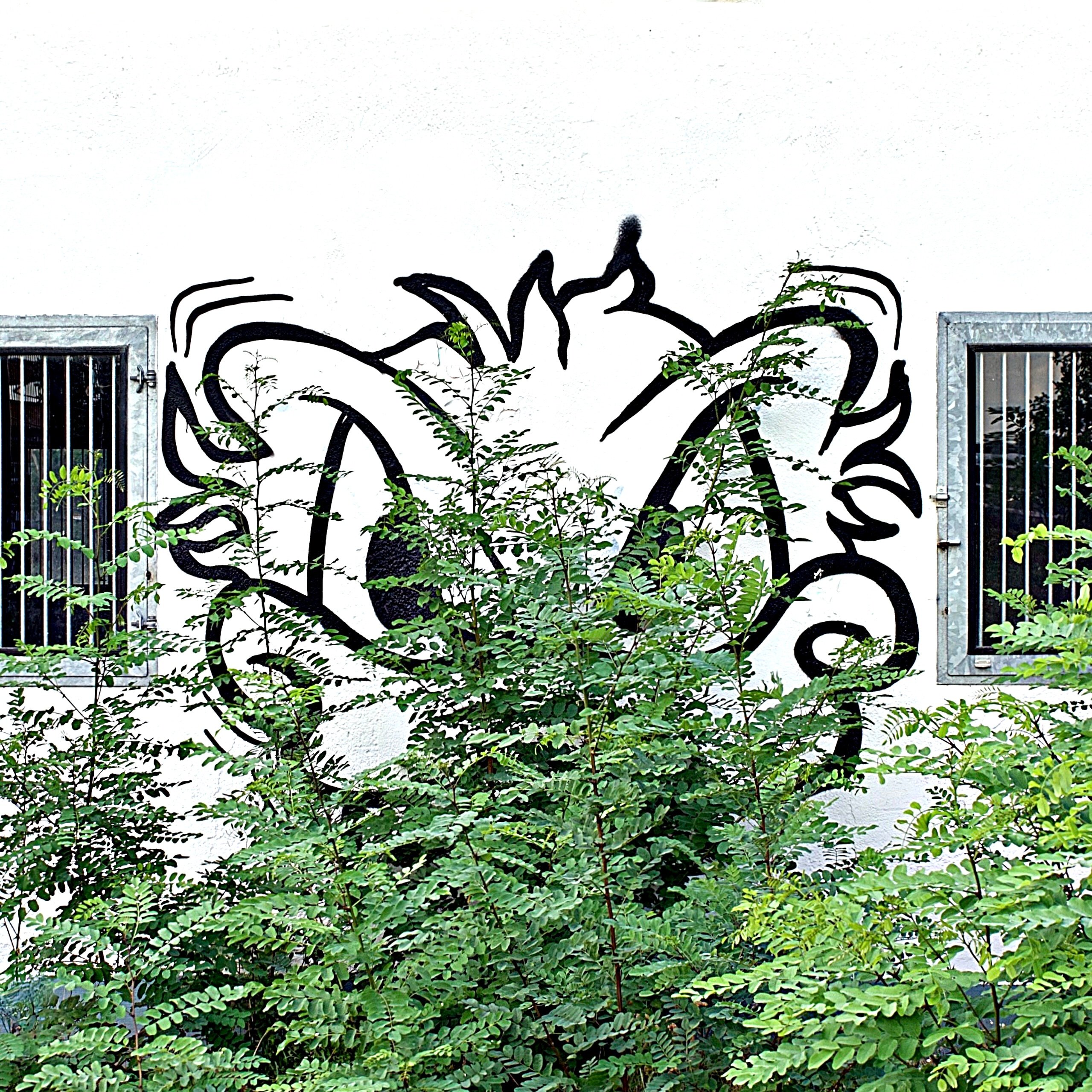 .... "Ich seh' nix !!!!!"