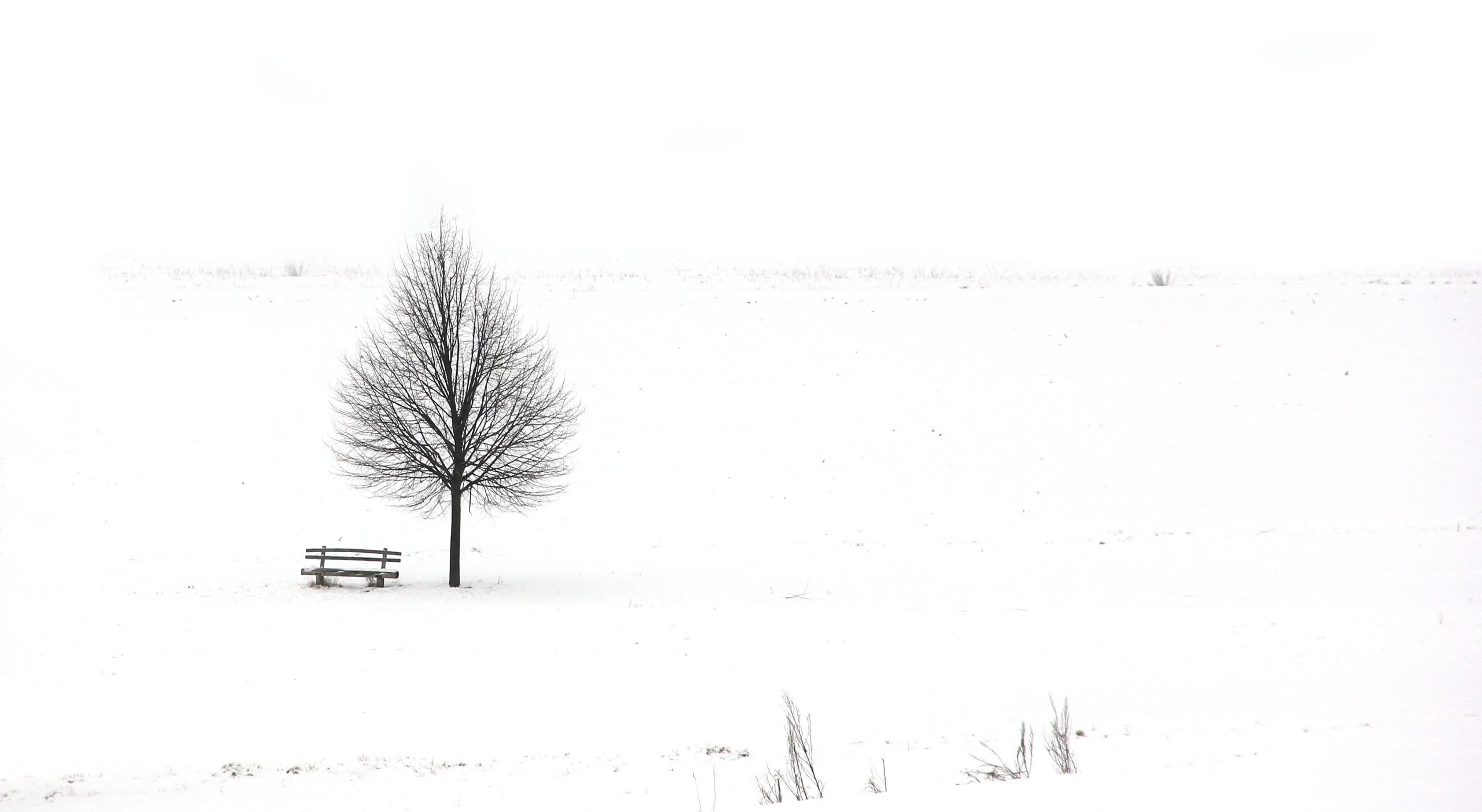 Ich wünsche mir.....
