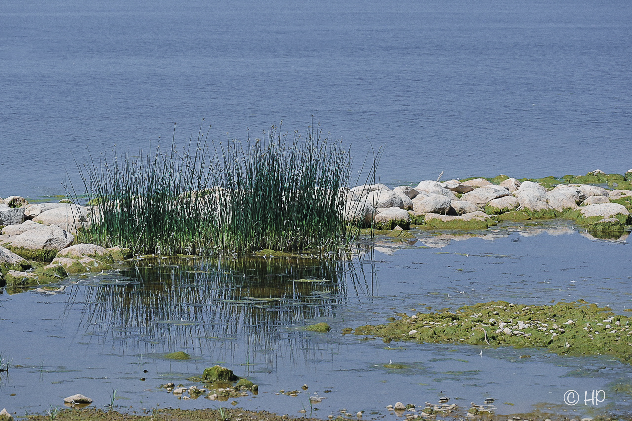 Idylle am Kurischen Haff