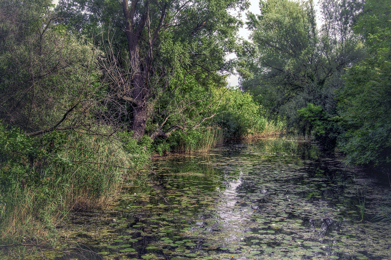 Idylle in der Großstadt