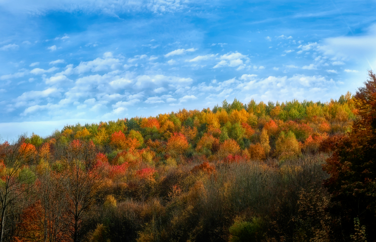 Ihr wollt bunte Herbstblätter...