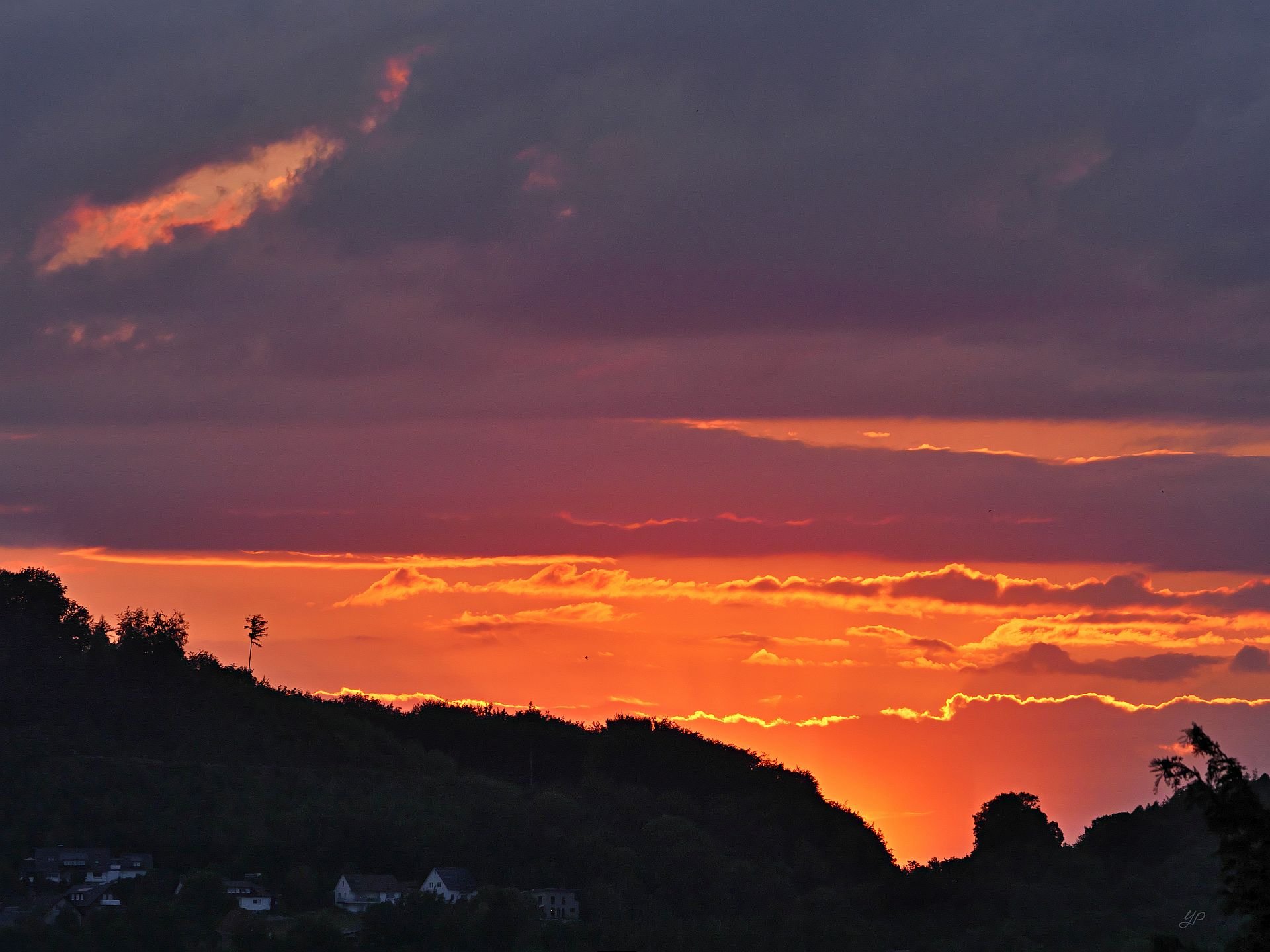 Im Abenddunkel