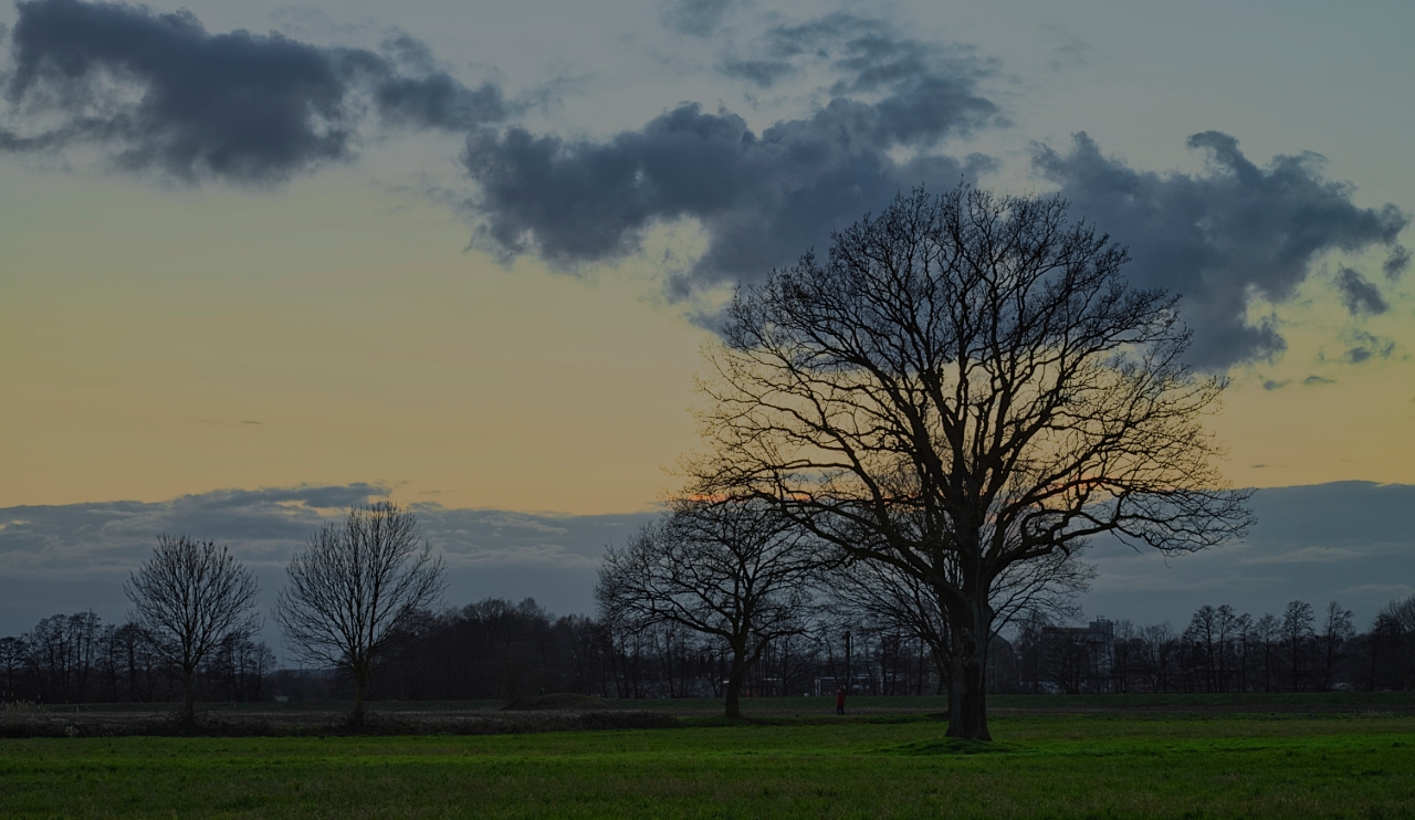 Im letzten Licht