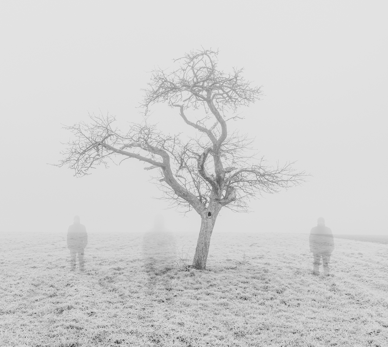 Im Nebel III.jpg