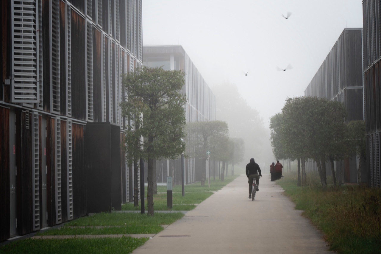 Im Nebel