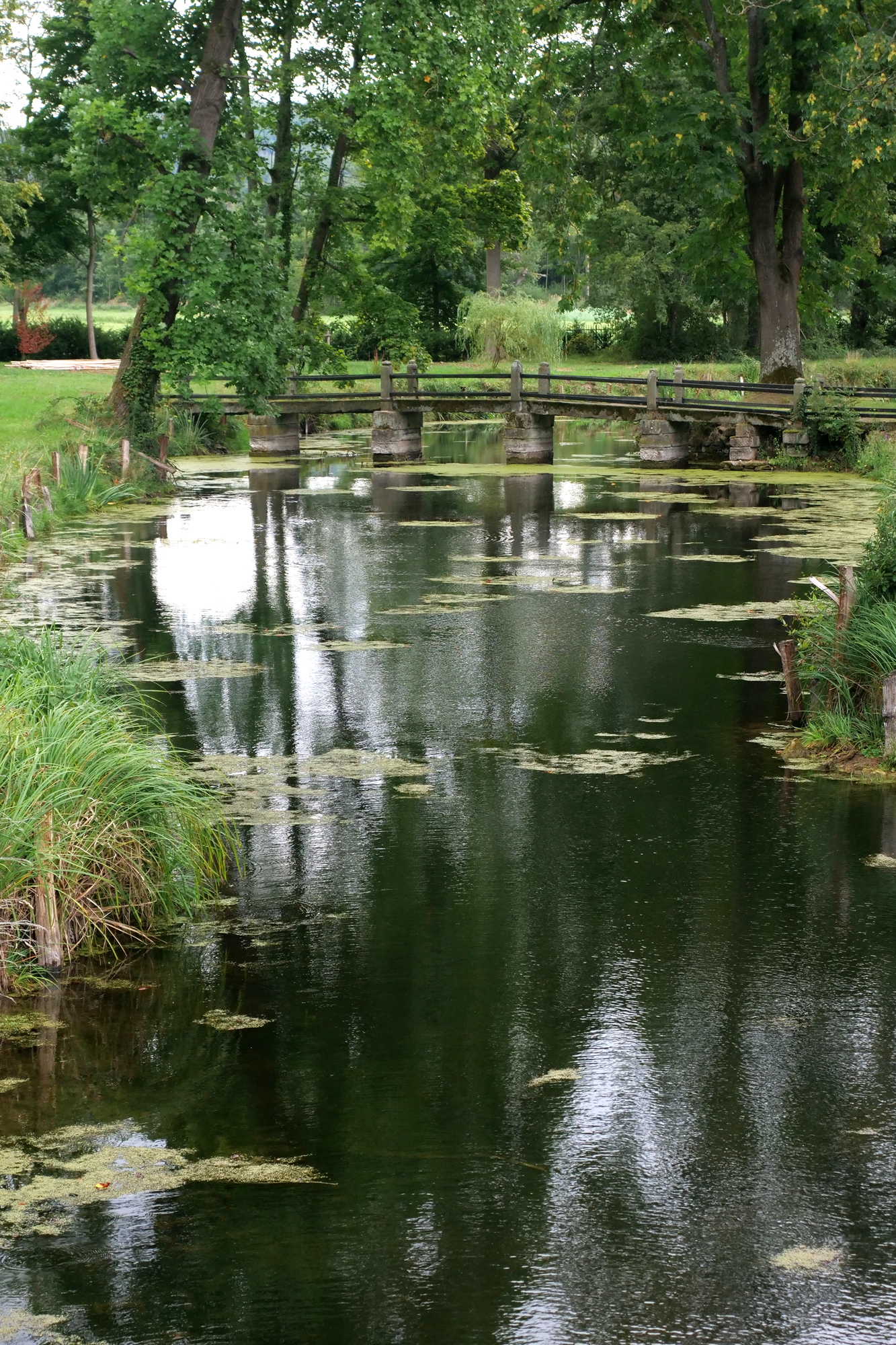 Im Schlossgraben