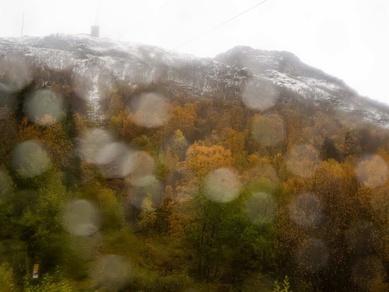 Im Schneetreiben Norwegens