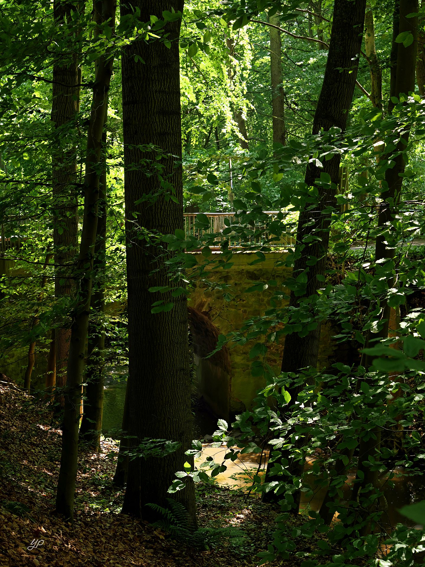Im Wald versteckt