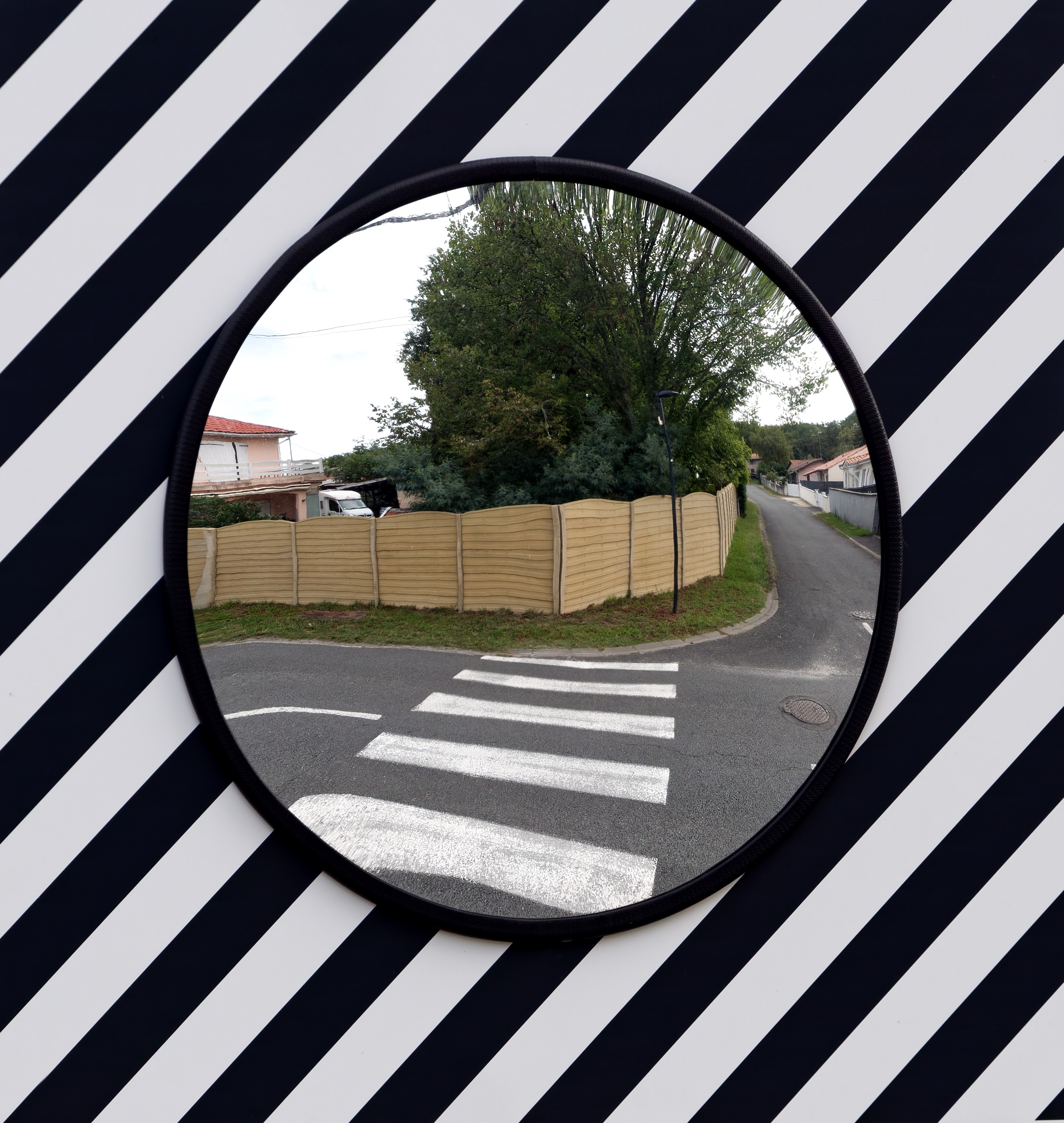 Im Zeichen des Zebras