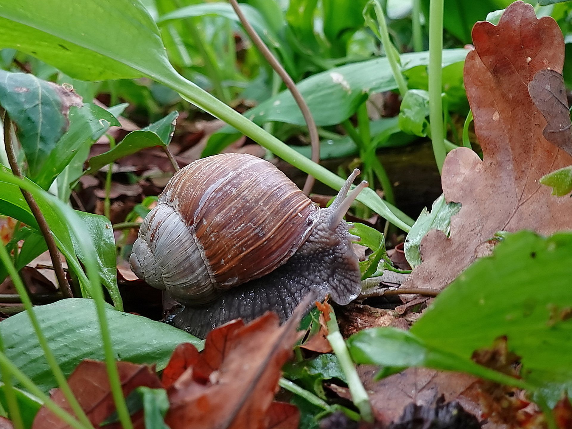 Immer mit der Ruhe